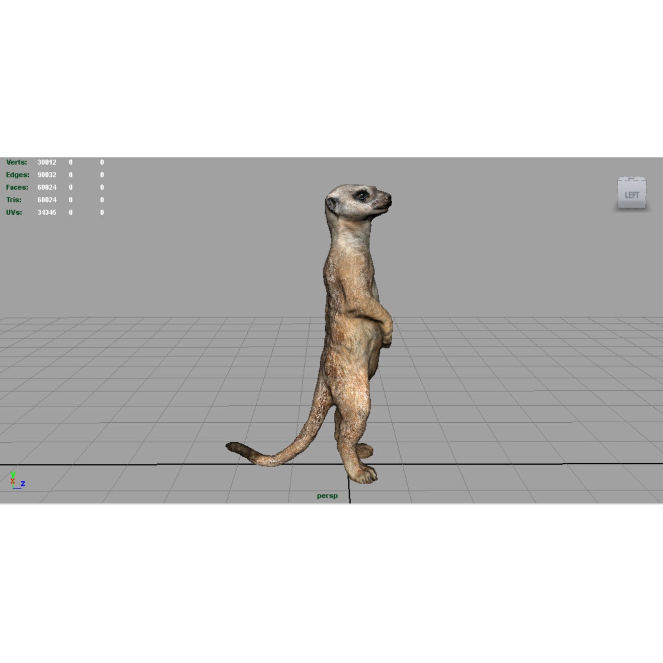 Meerkat Low-poly 3D model 3