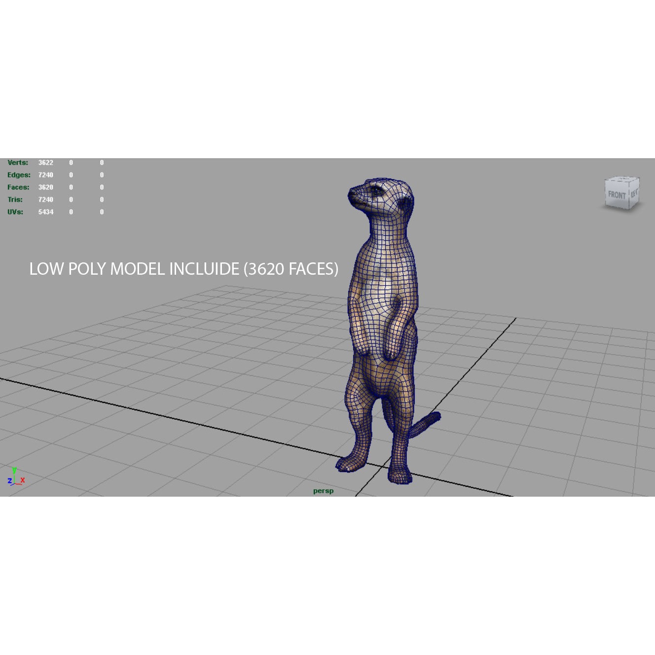 Meerkat Low-poly 3D model 5