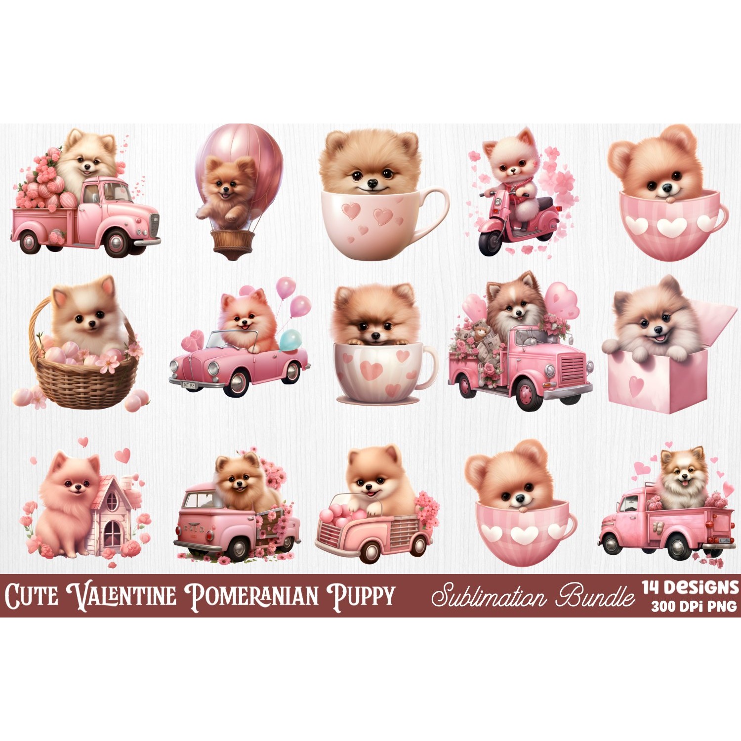 Mega Valentine's Day Clipart Sublimation 5