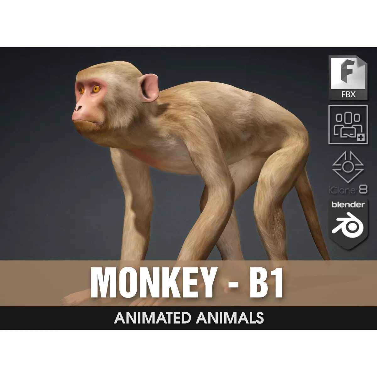 Monkey-B1 Free 3D model
