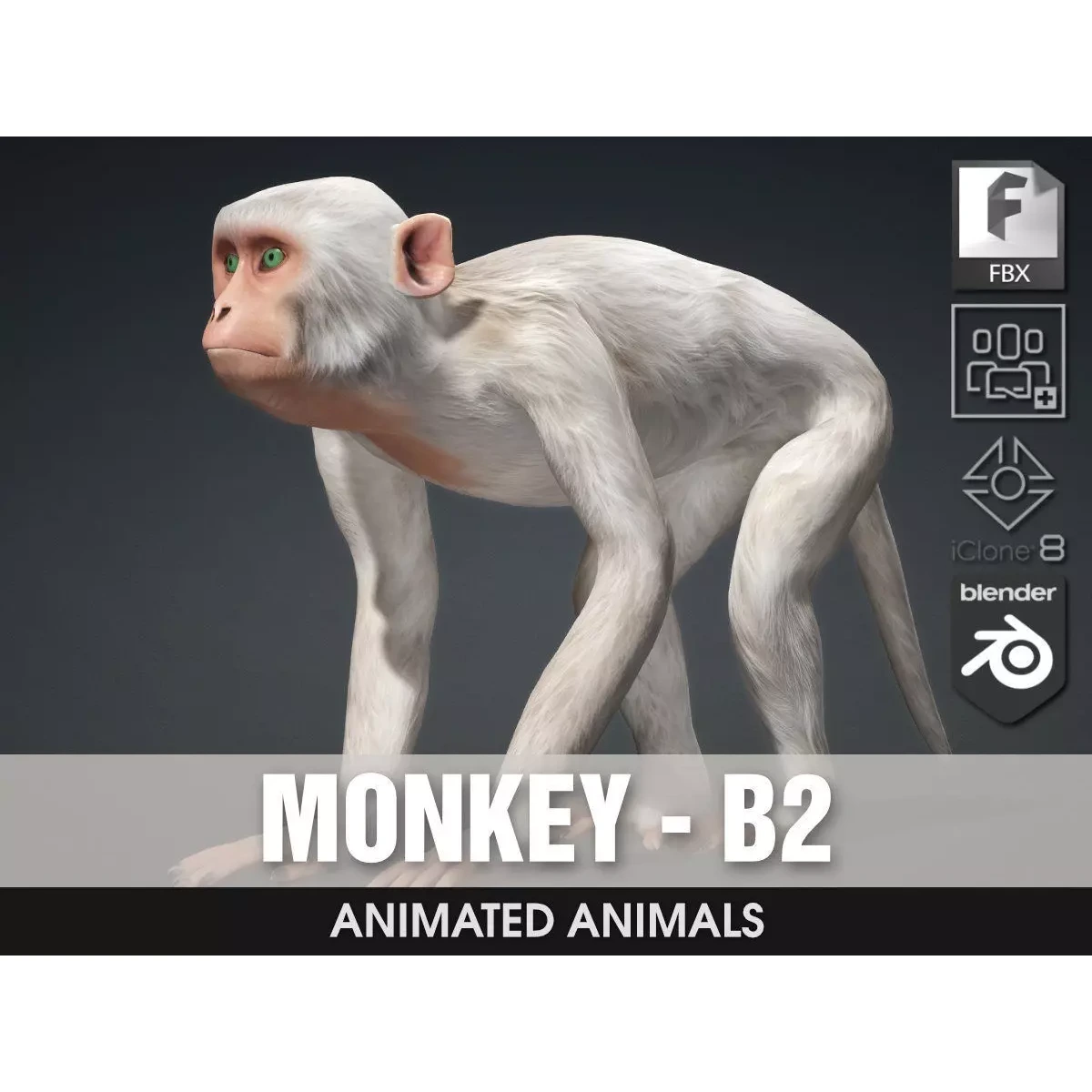 Monkey-B2 Free 3D model