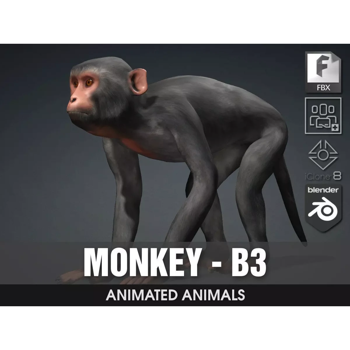 Monkey-B3 Free 3D model