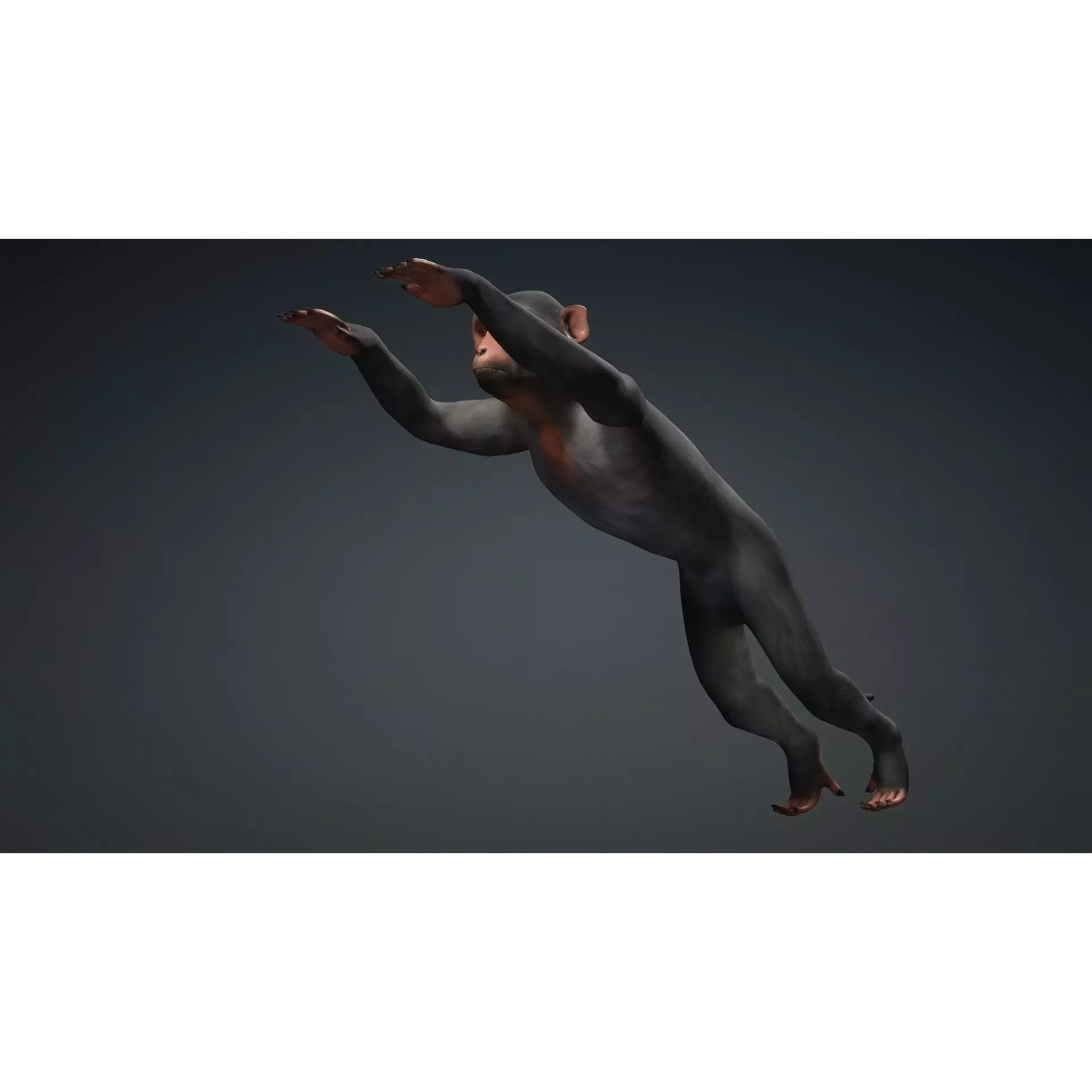 Monkey-B3 Free 3D model 8