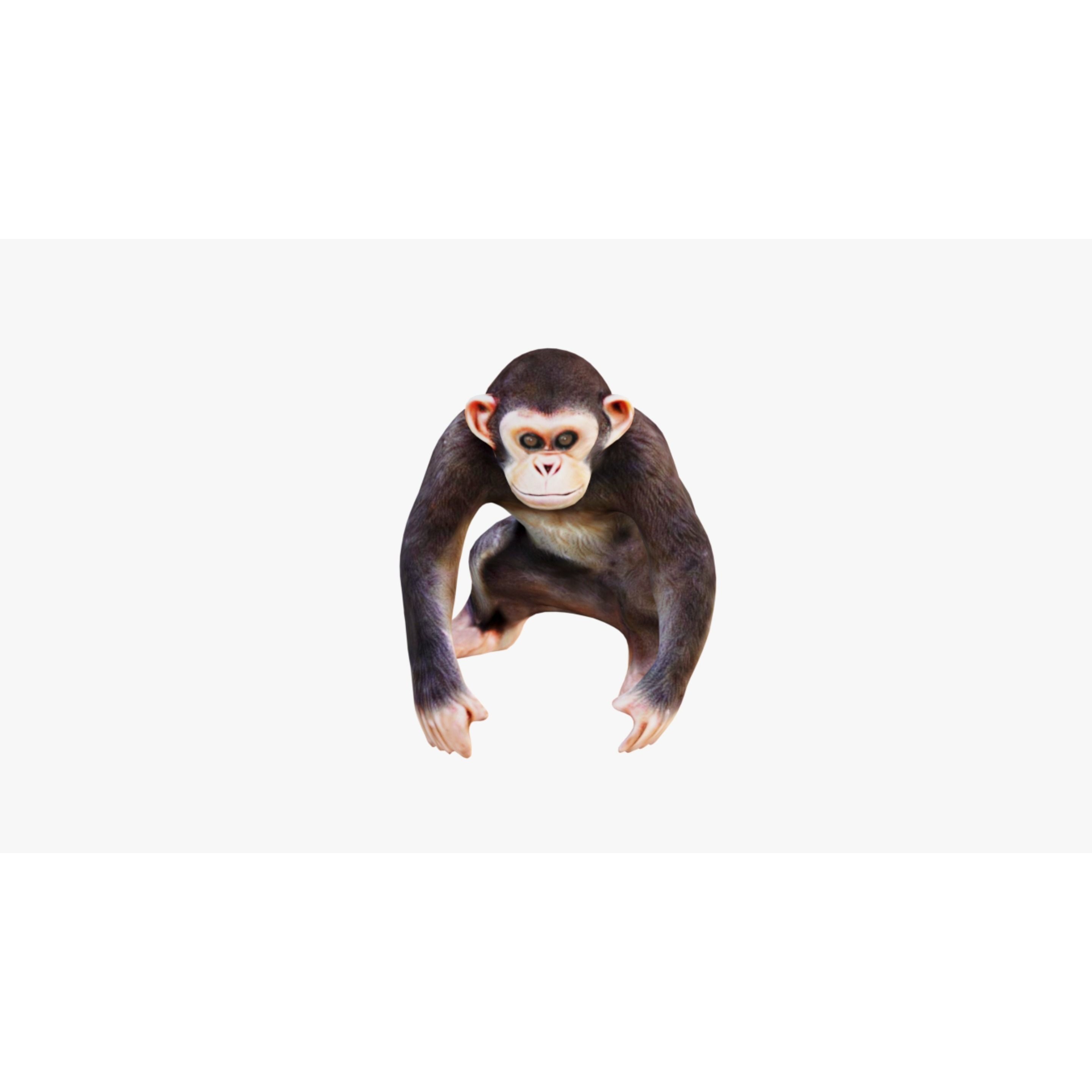 Monkey Free 3D model 3