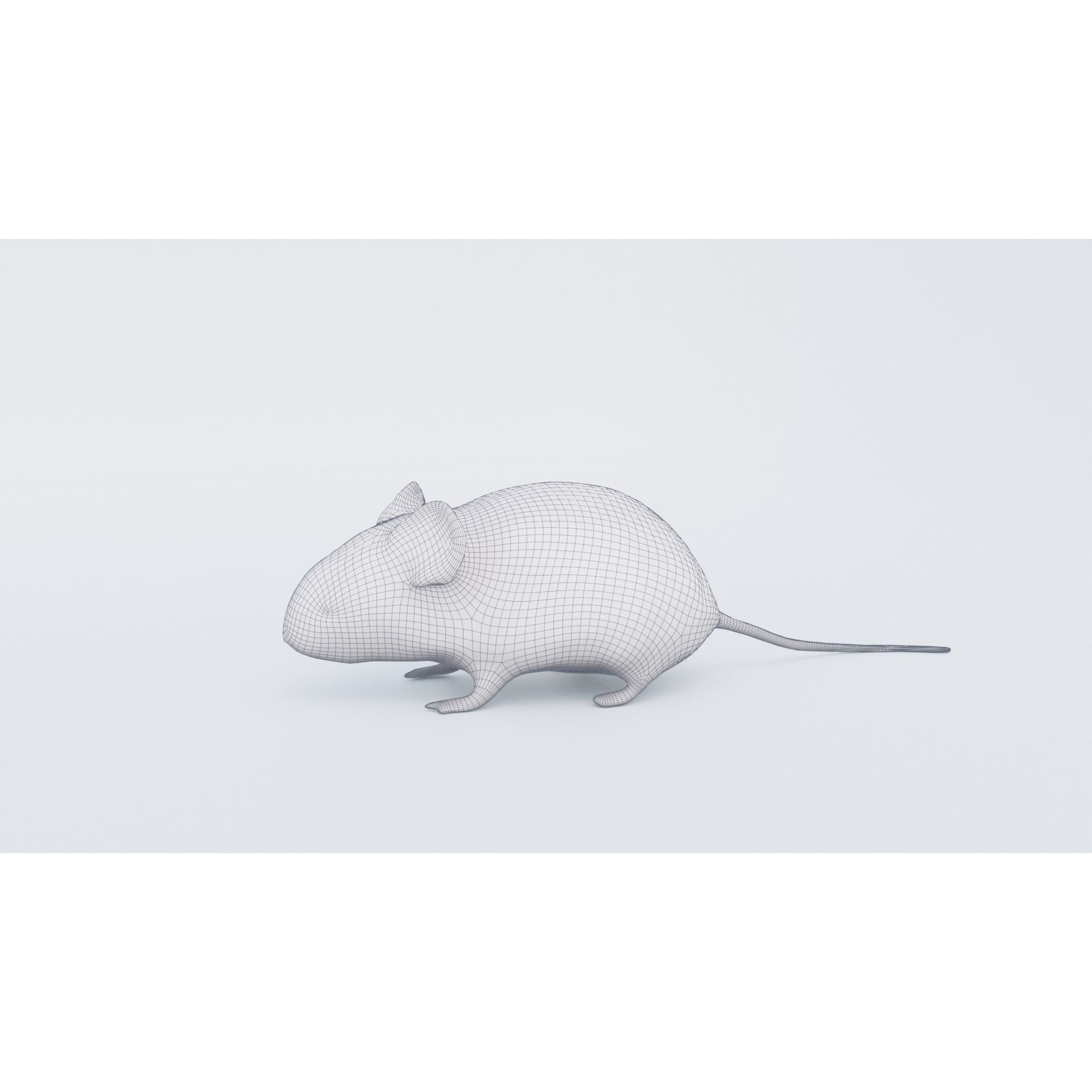 Mouse Free 3D model 7