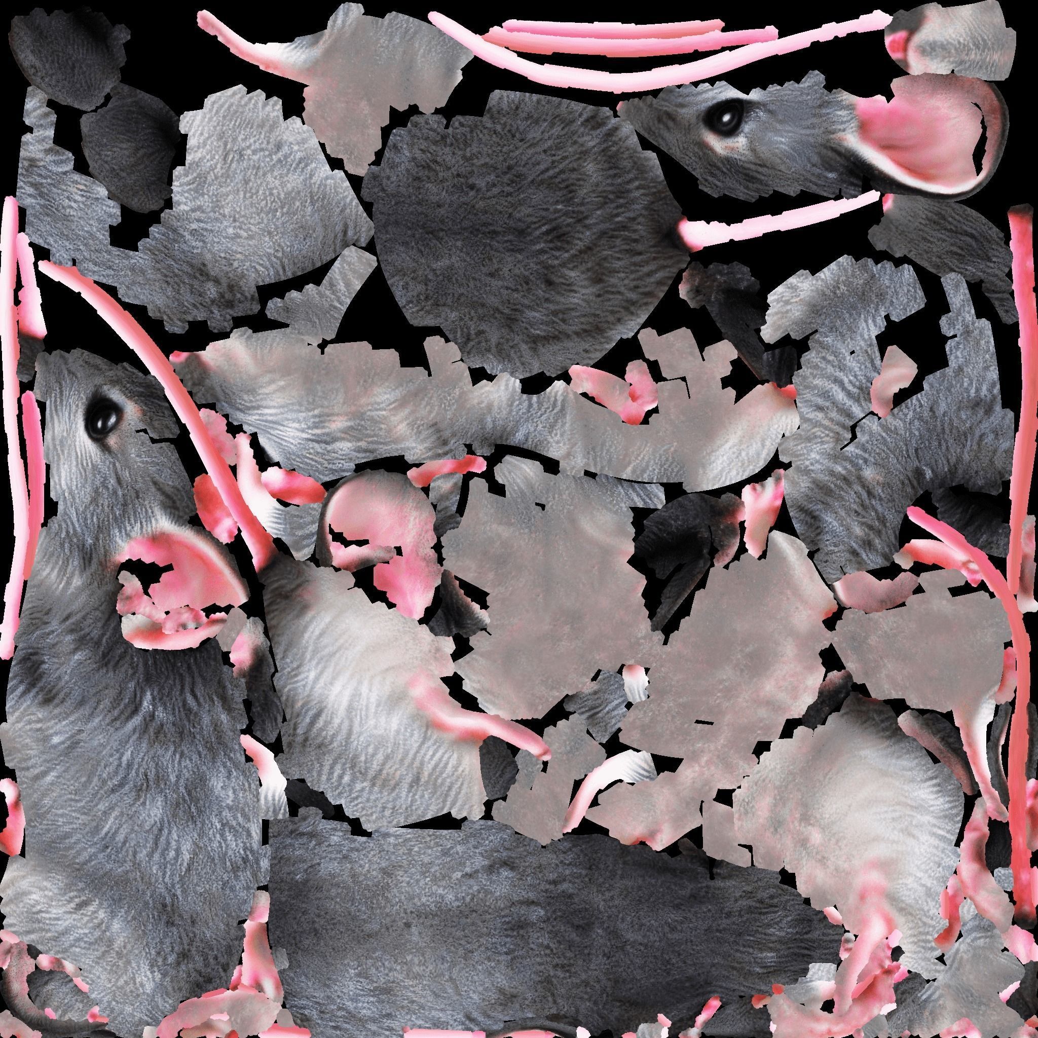 Mouse Free 3D model 8