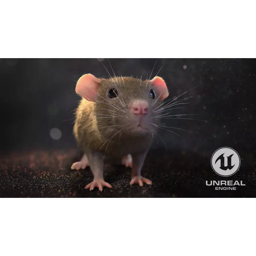 Mouse rat Low-poly 3D model