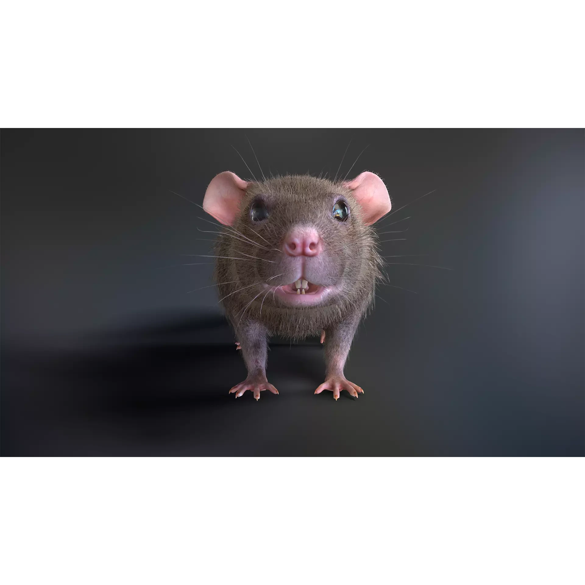 Mouse rat Low-poly 3D model 3