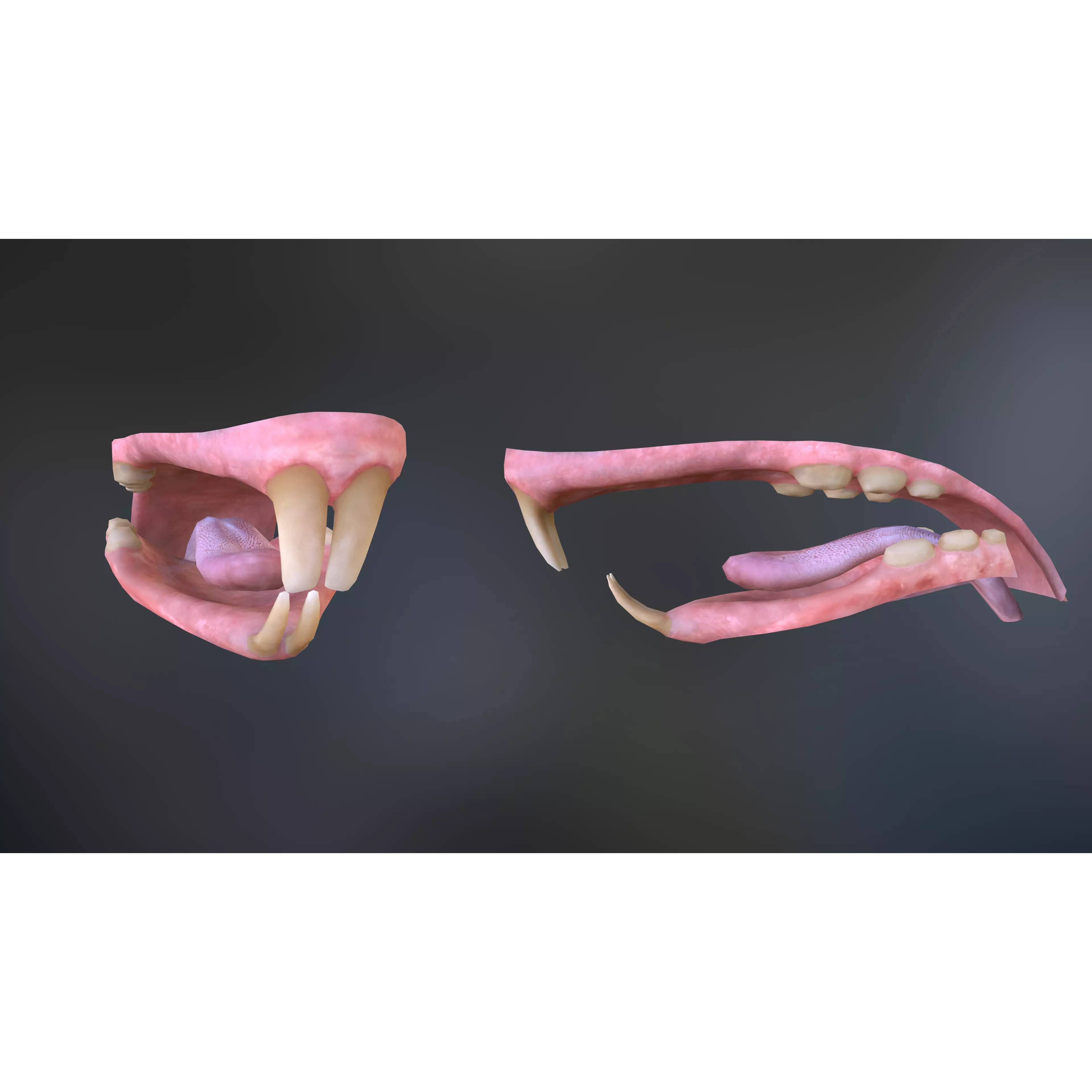 Mouse rat Low-poly 3D model 8