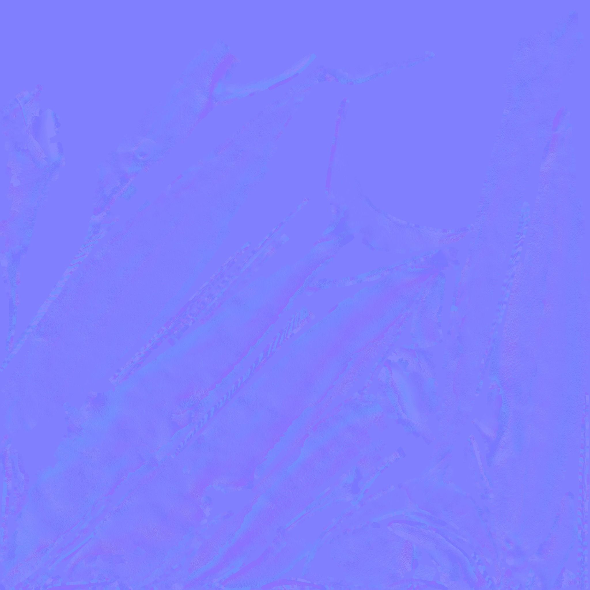 Narwhal Free 3D model 9