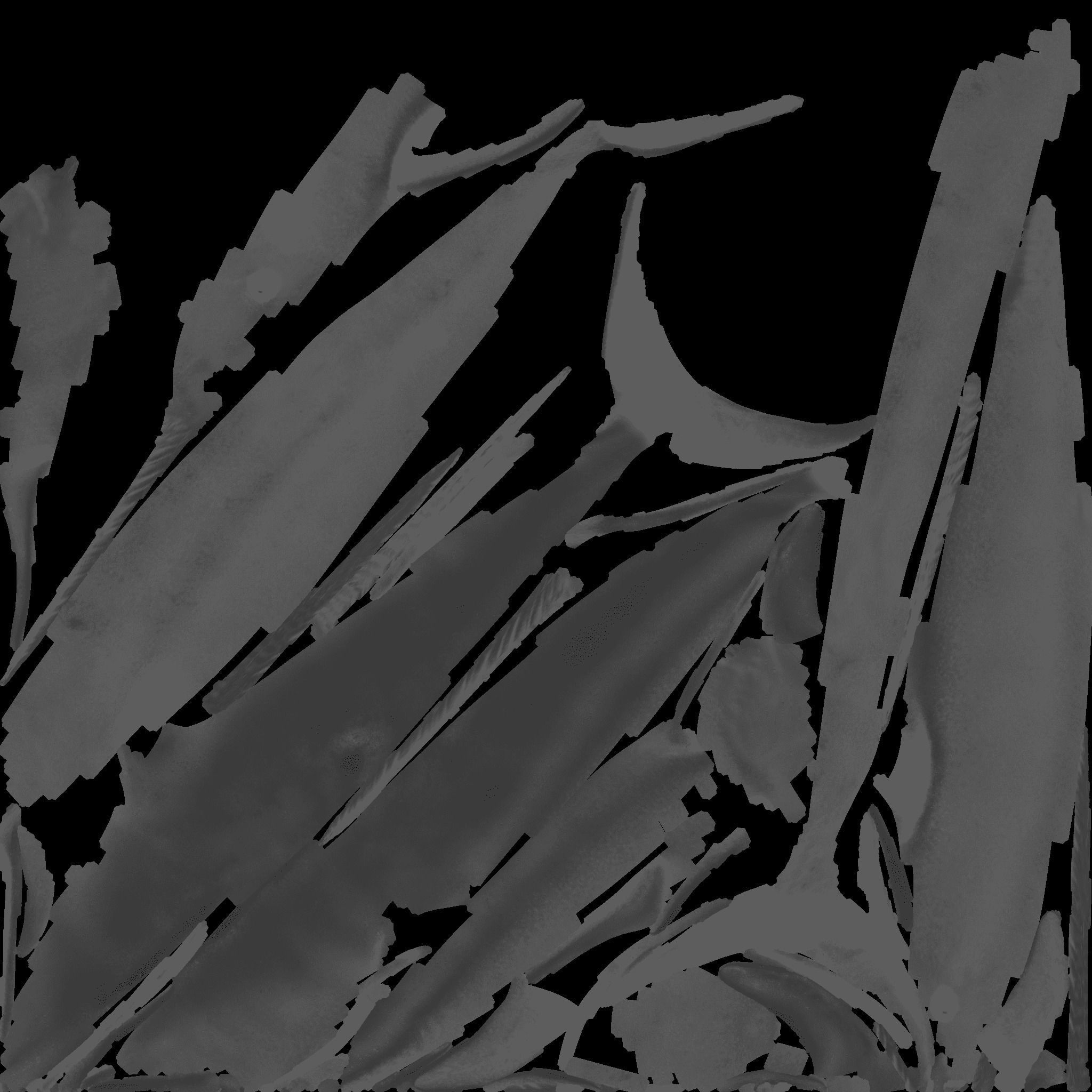 Narwhal Free 3D model 10