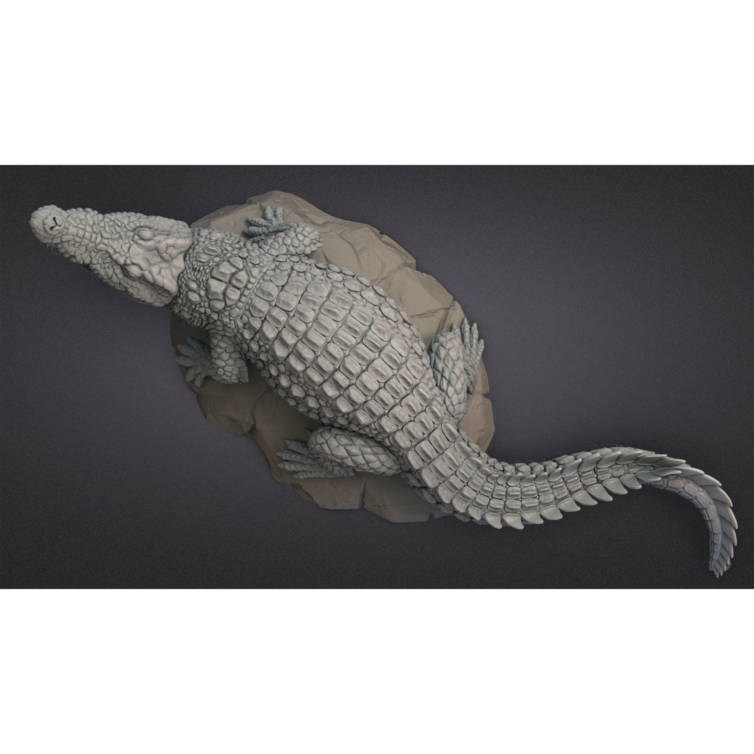 Nile Crocodile 3D print model 8