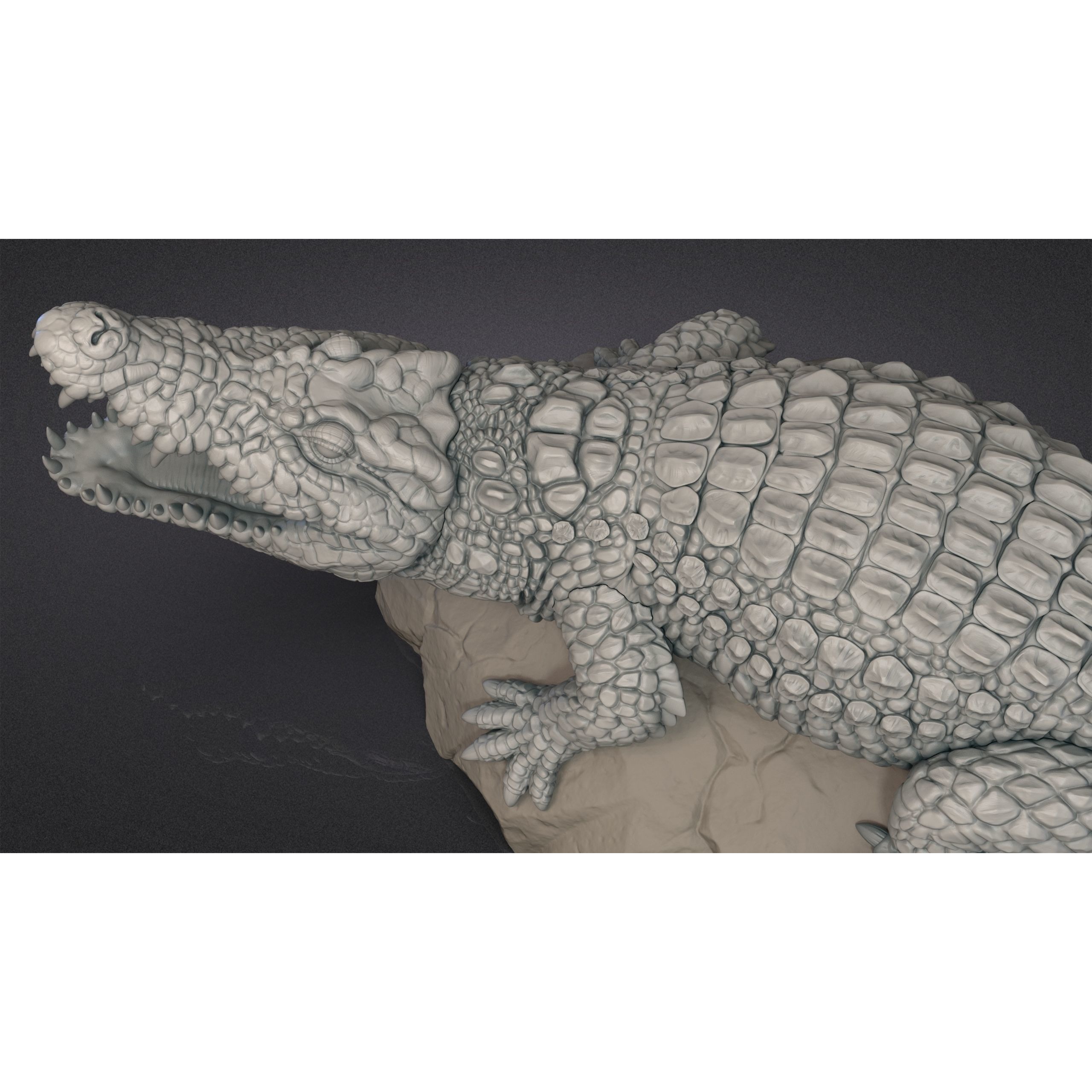 Nile Crocodile 3D print model 9