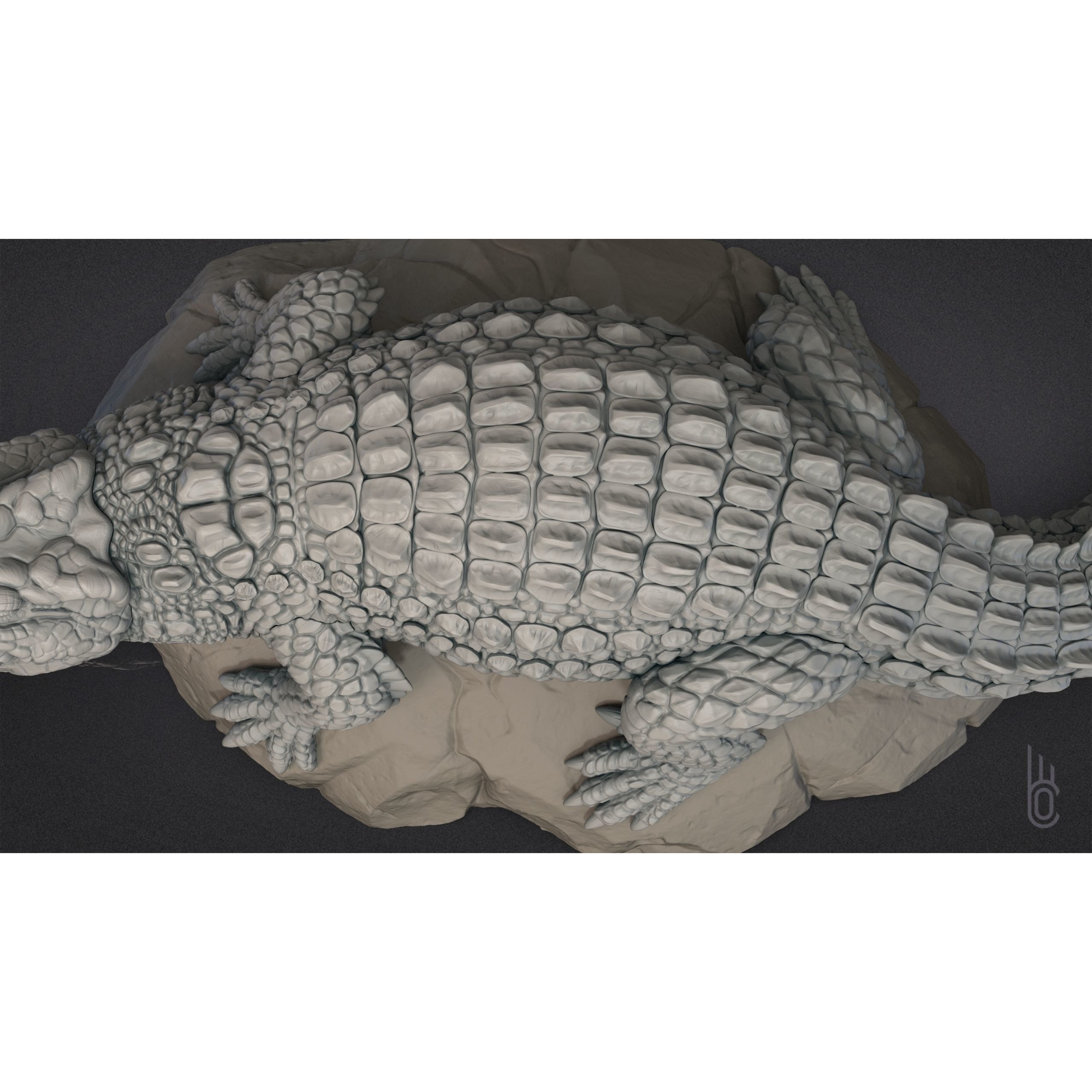 Nile Crocodile 3D print model 10