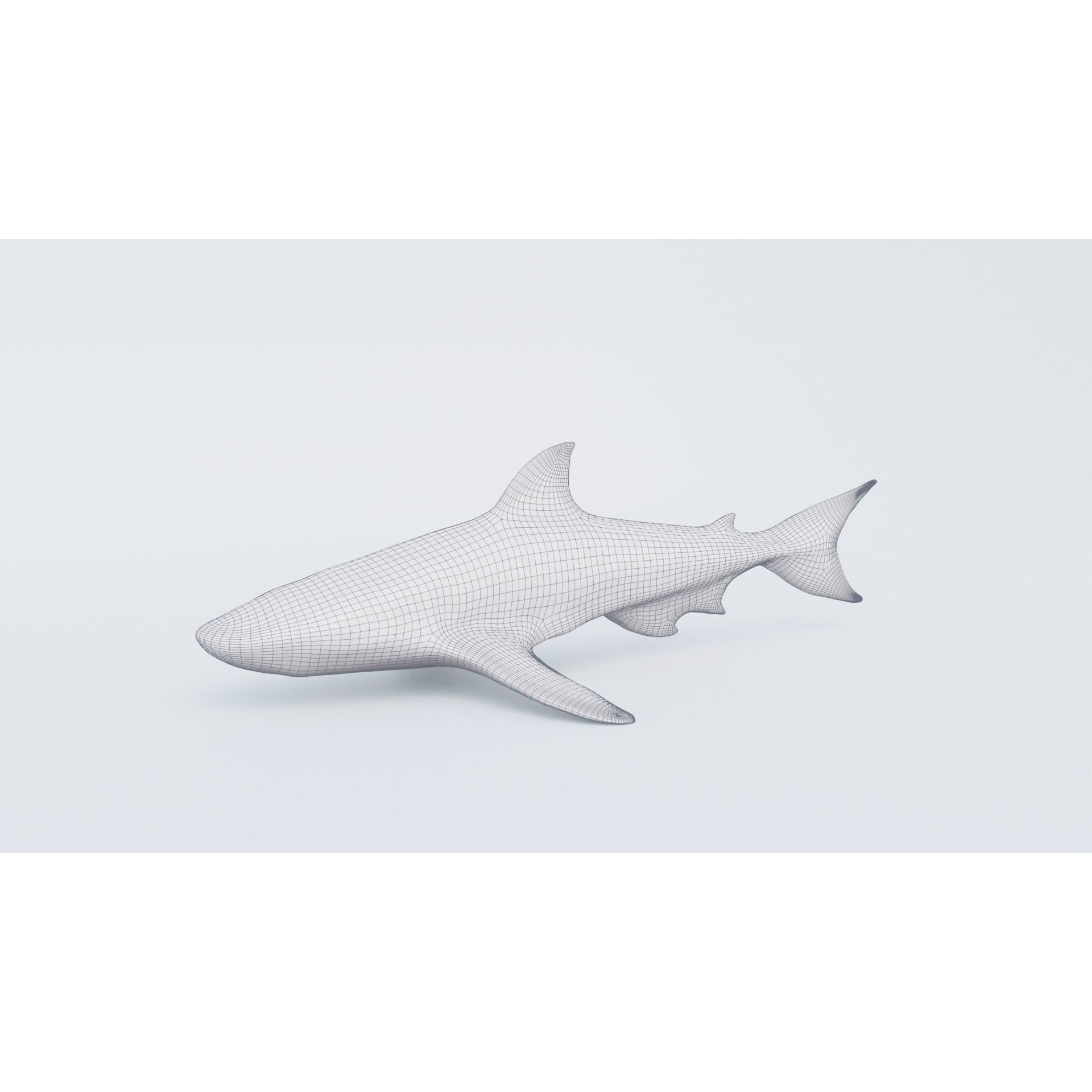 Nurse Shark Free 3D model 7