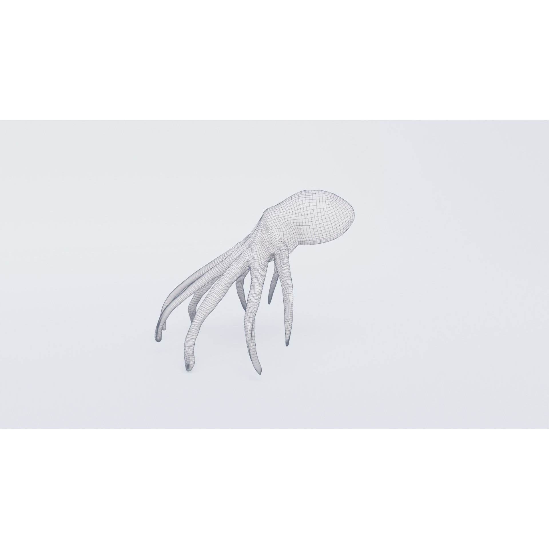 Octopus Free 3D model 7