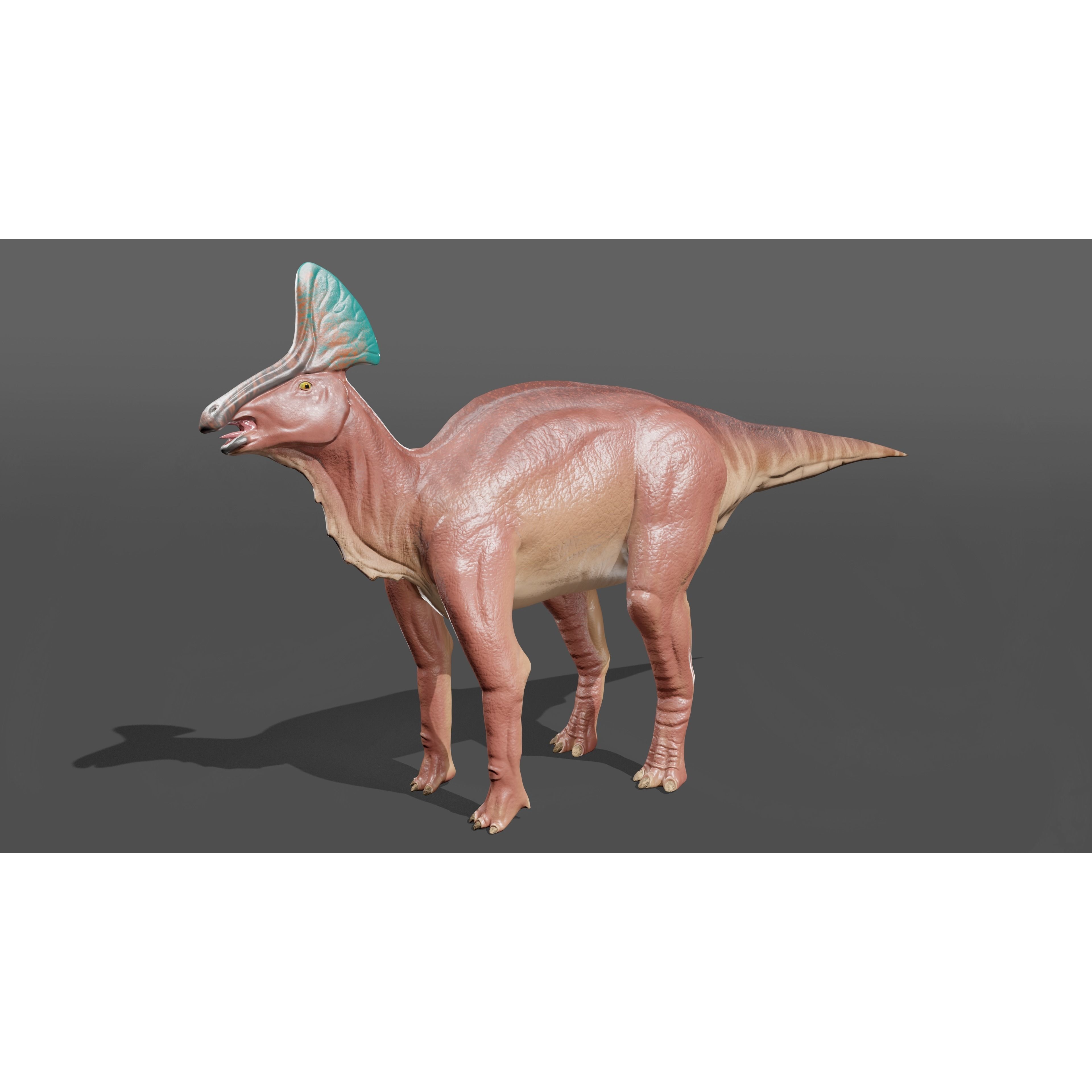 Olorotitan dinosaur Free low-poly 3D model 6