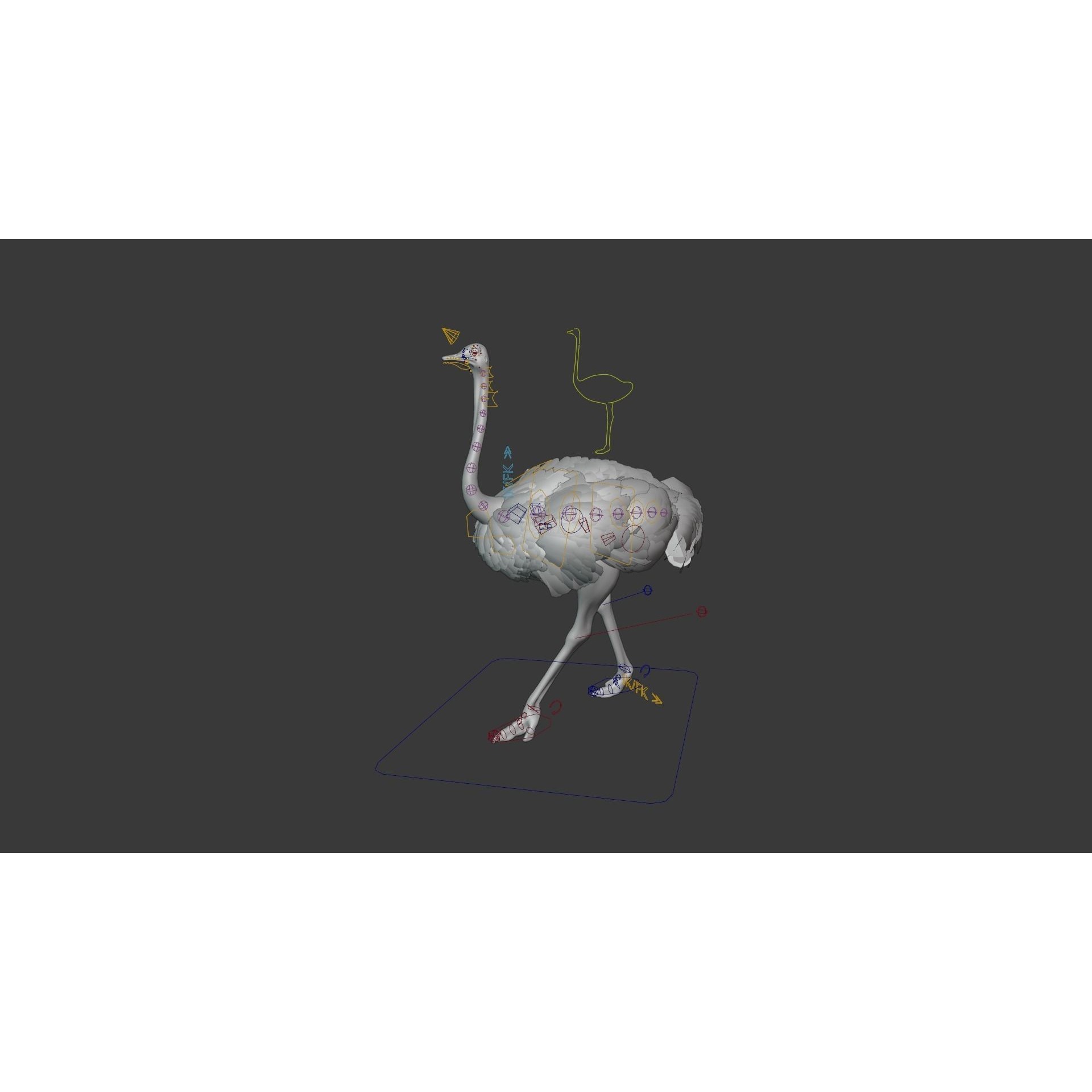 Ostrich Animated 3D model 8