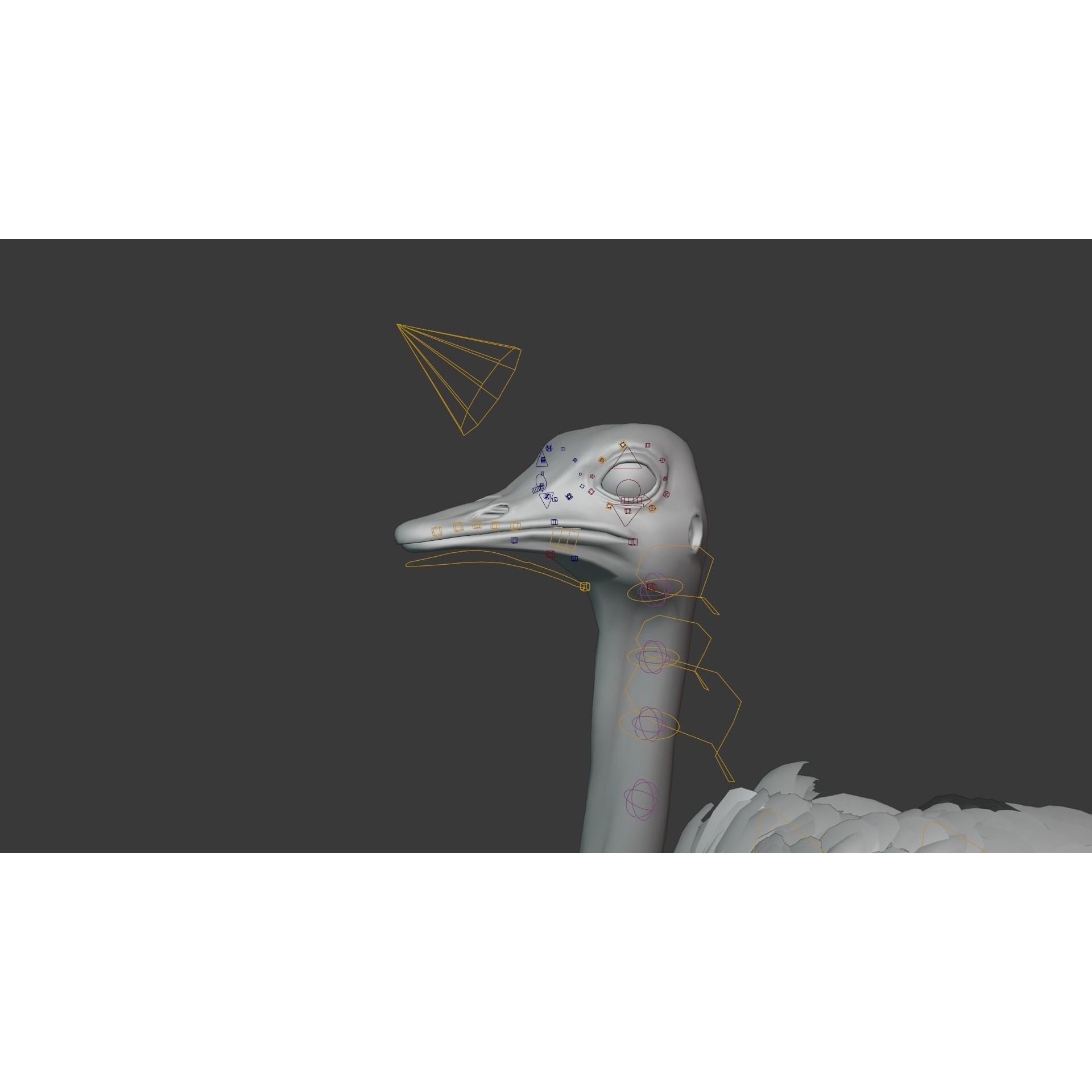 Ostrich Animated 3D model 9