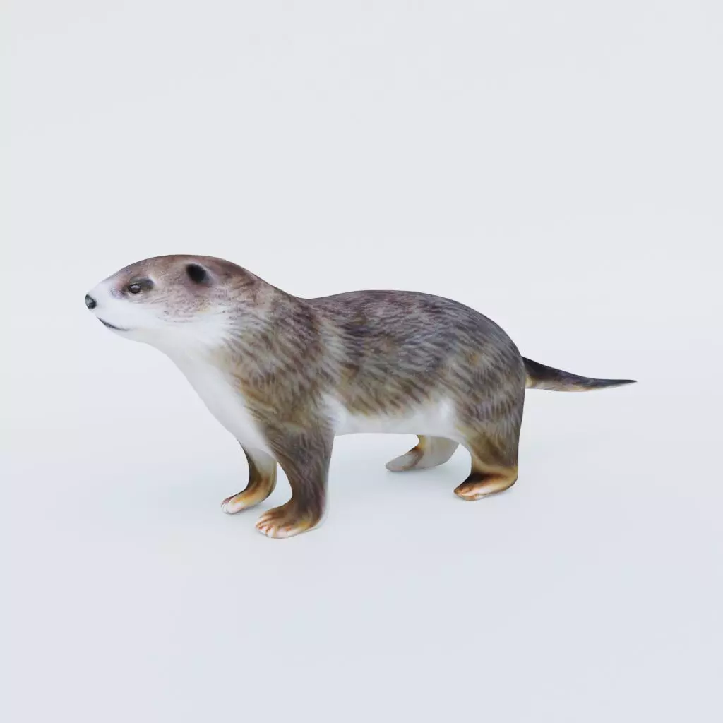 Otter Free 3D model
