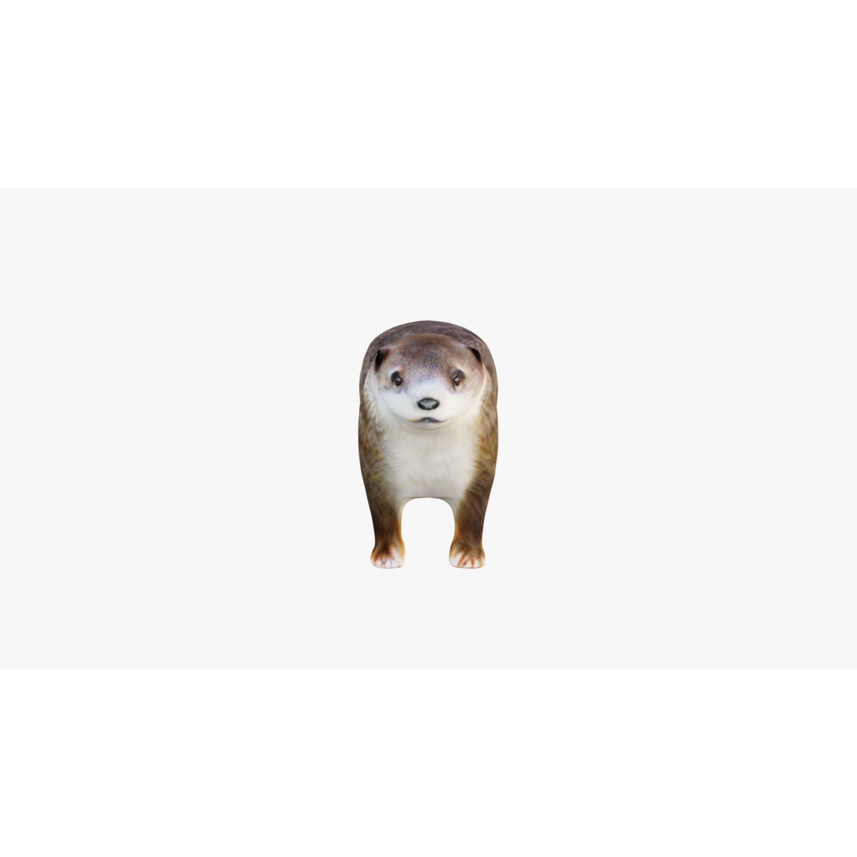 Otter Free 3D model 3