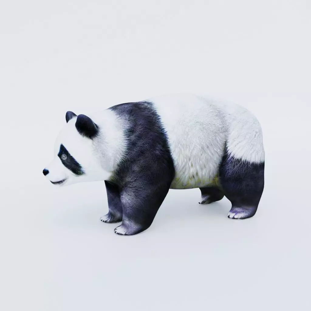 Panda Free 3D model