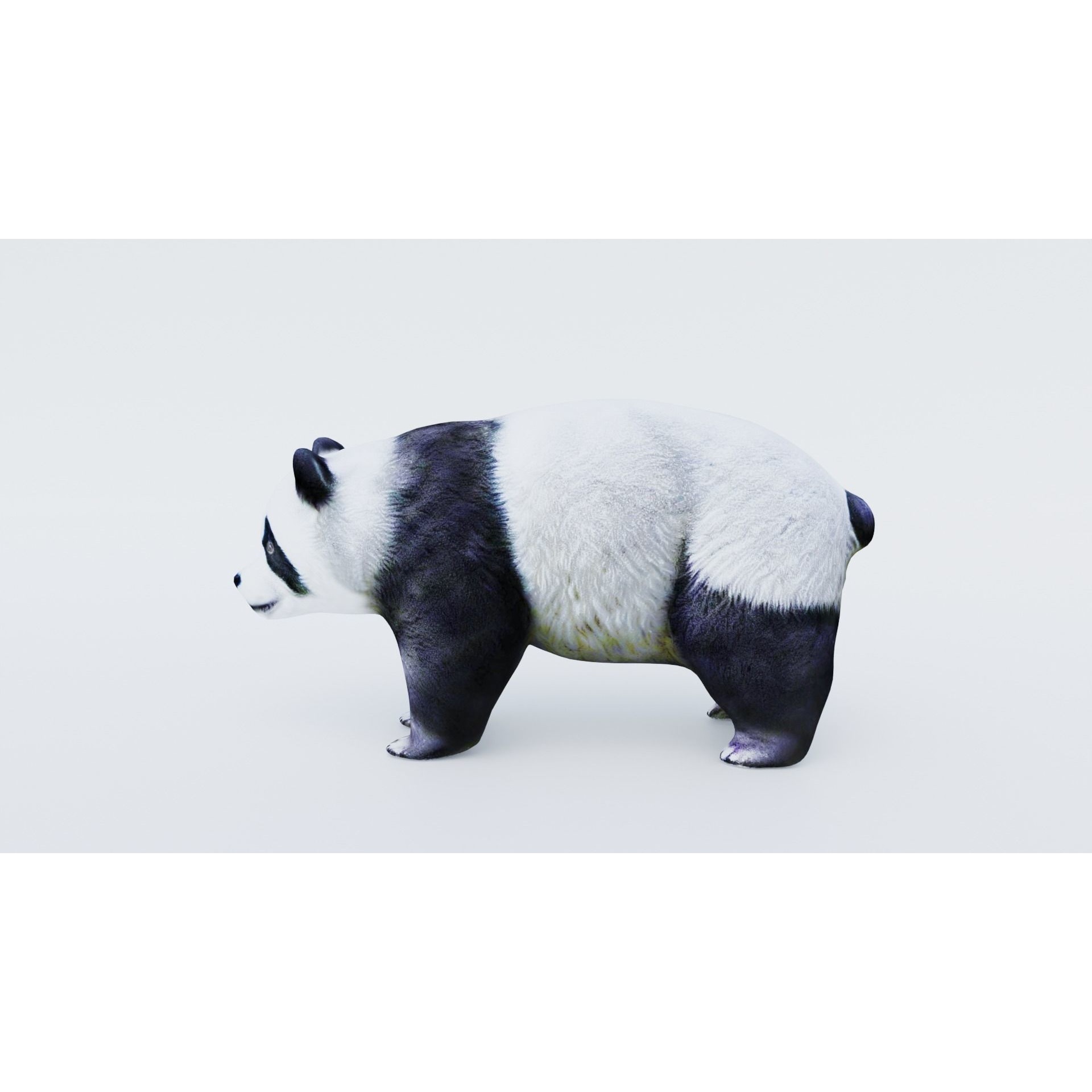 Panda Free 3D model 2