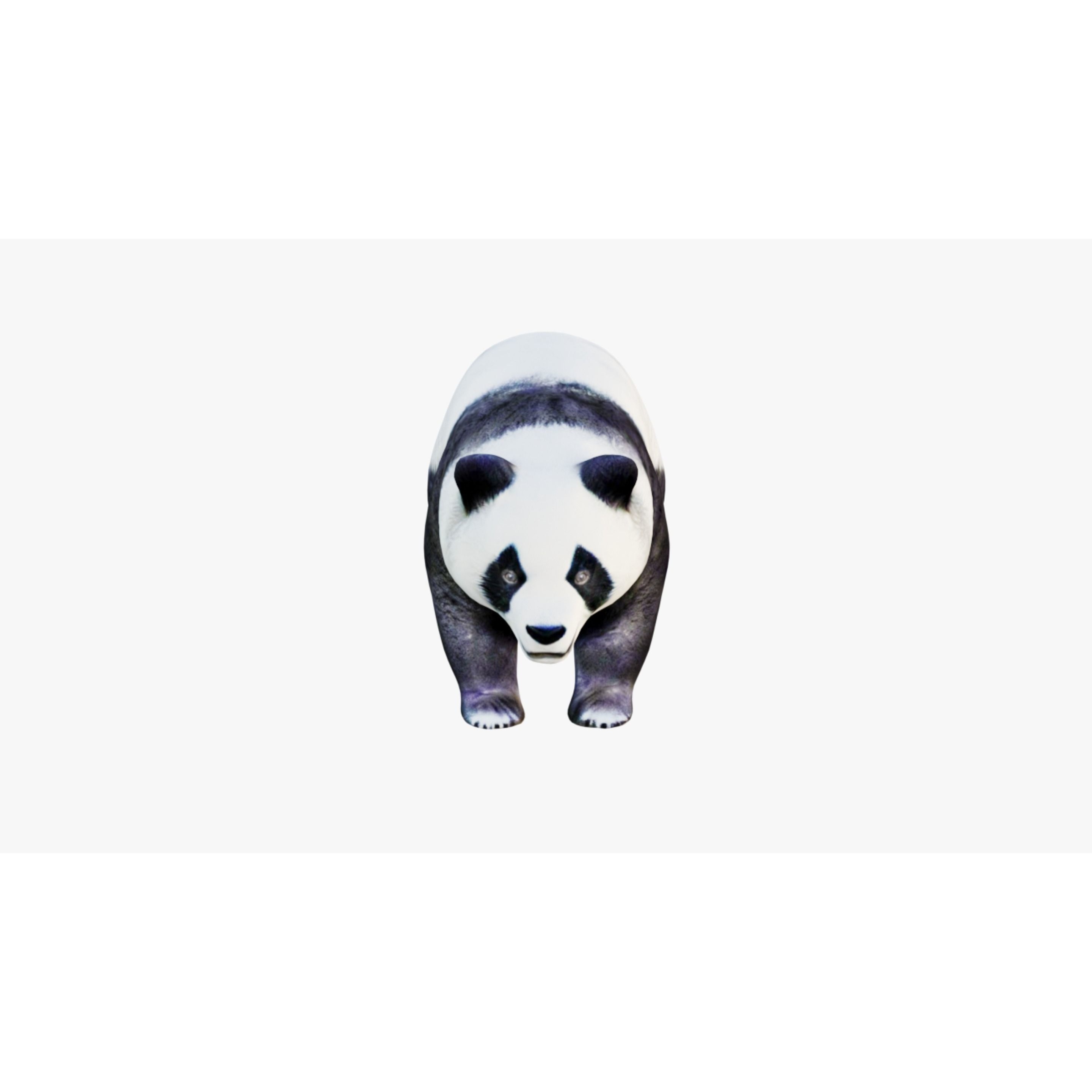 Panda Free 3D model 3