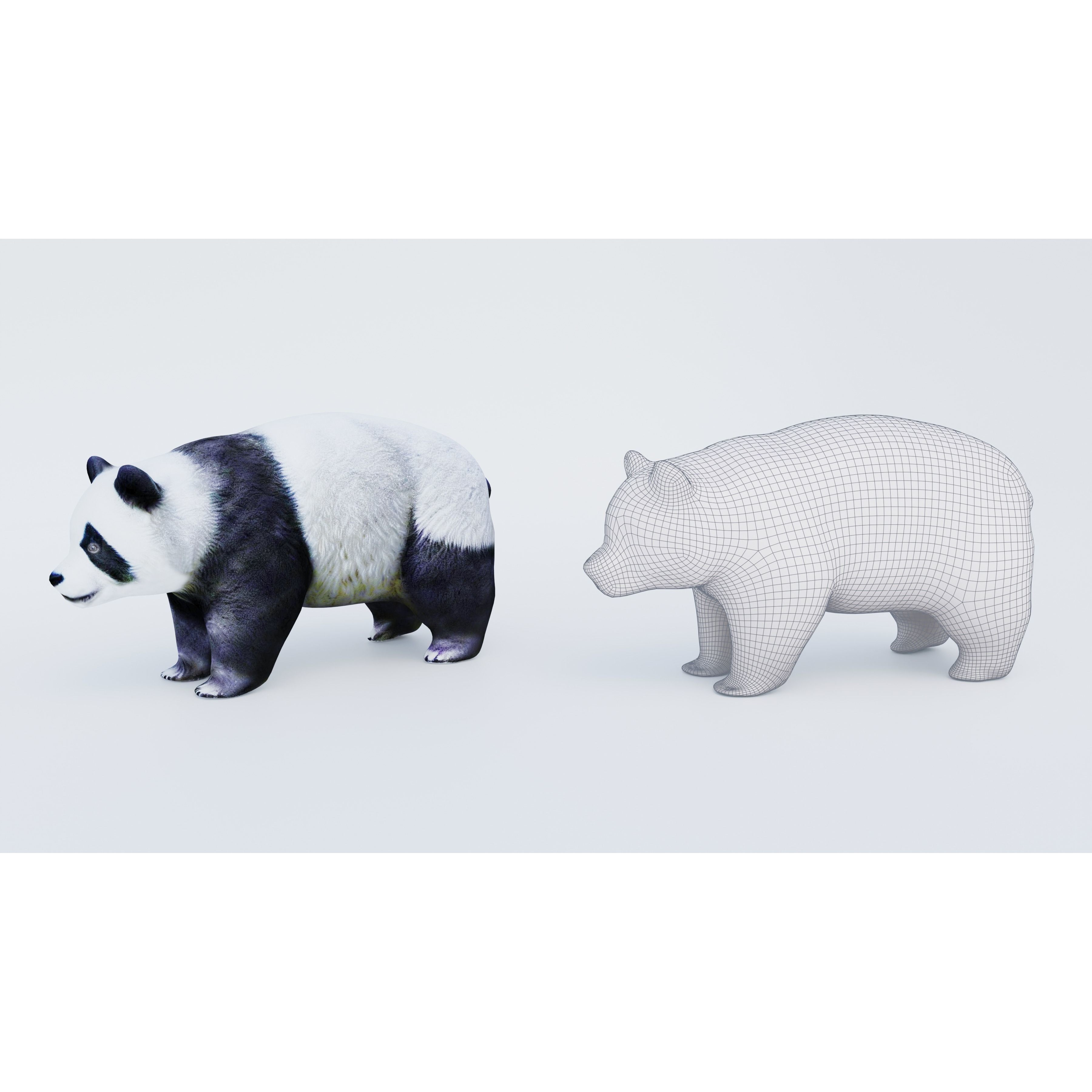 Panda Free 3D model 6