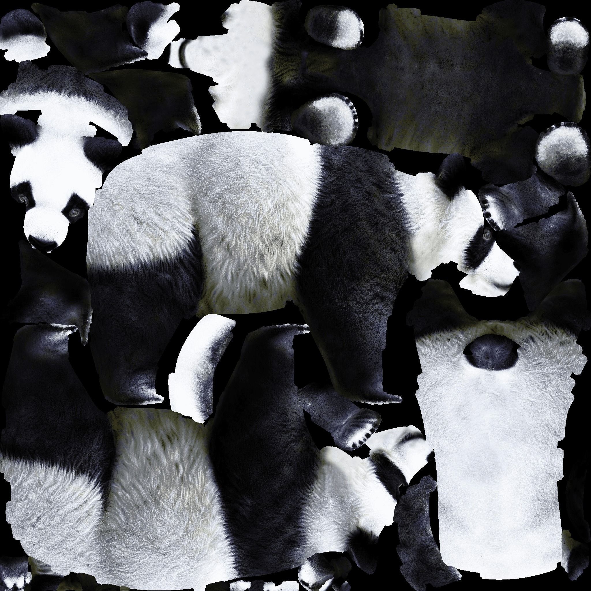 Panda Free 3D model 8