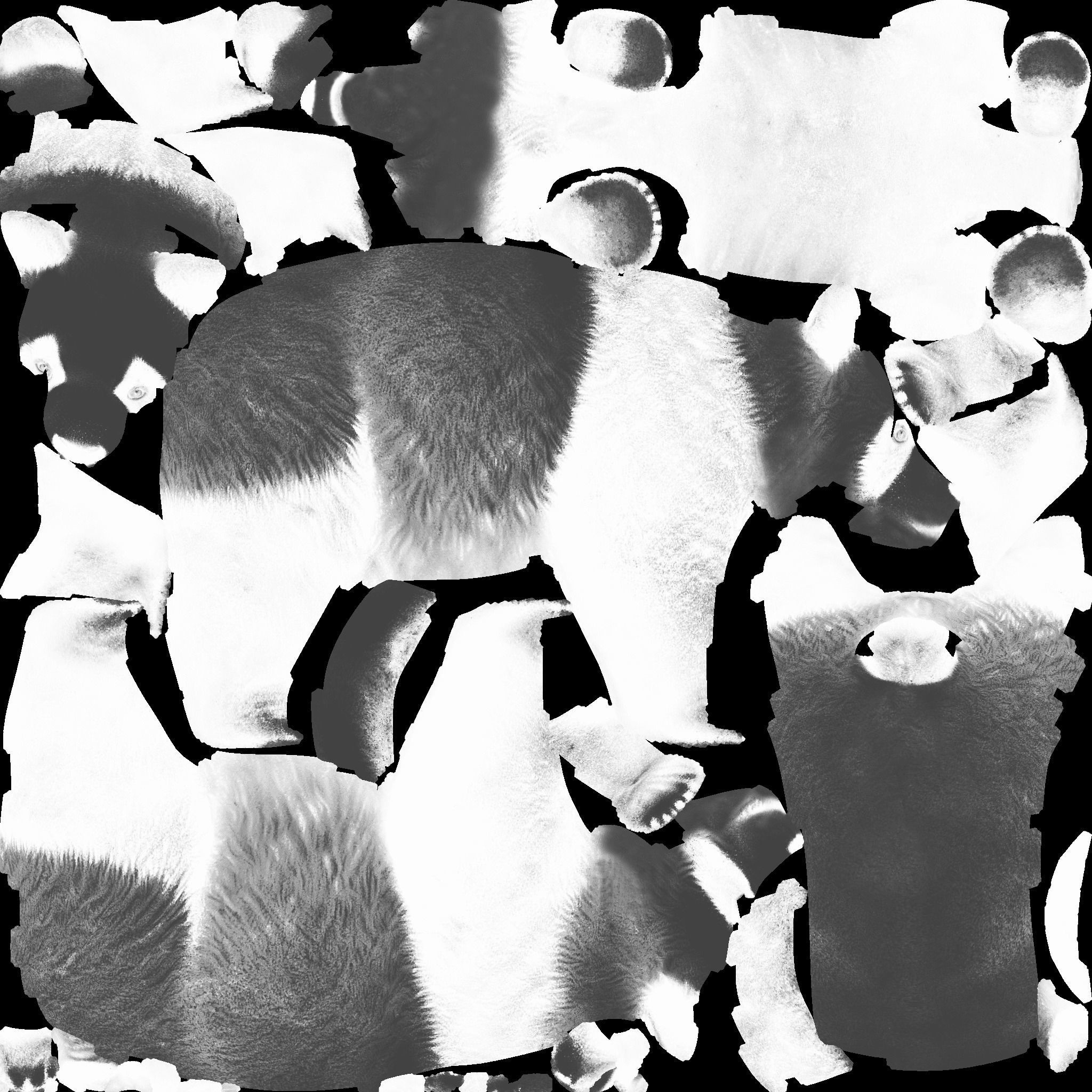 Panda Free 3D model 10