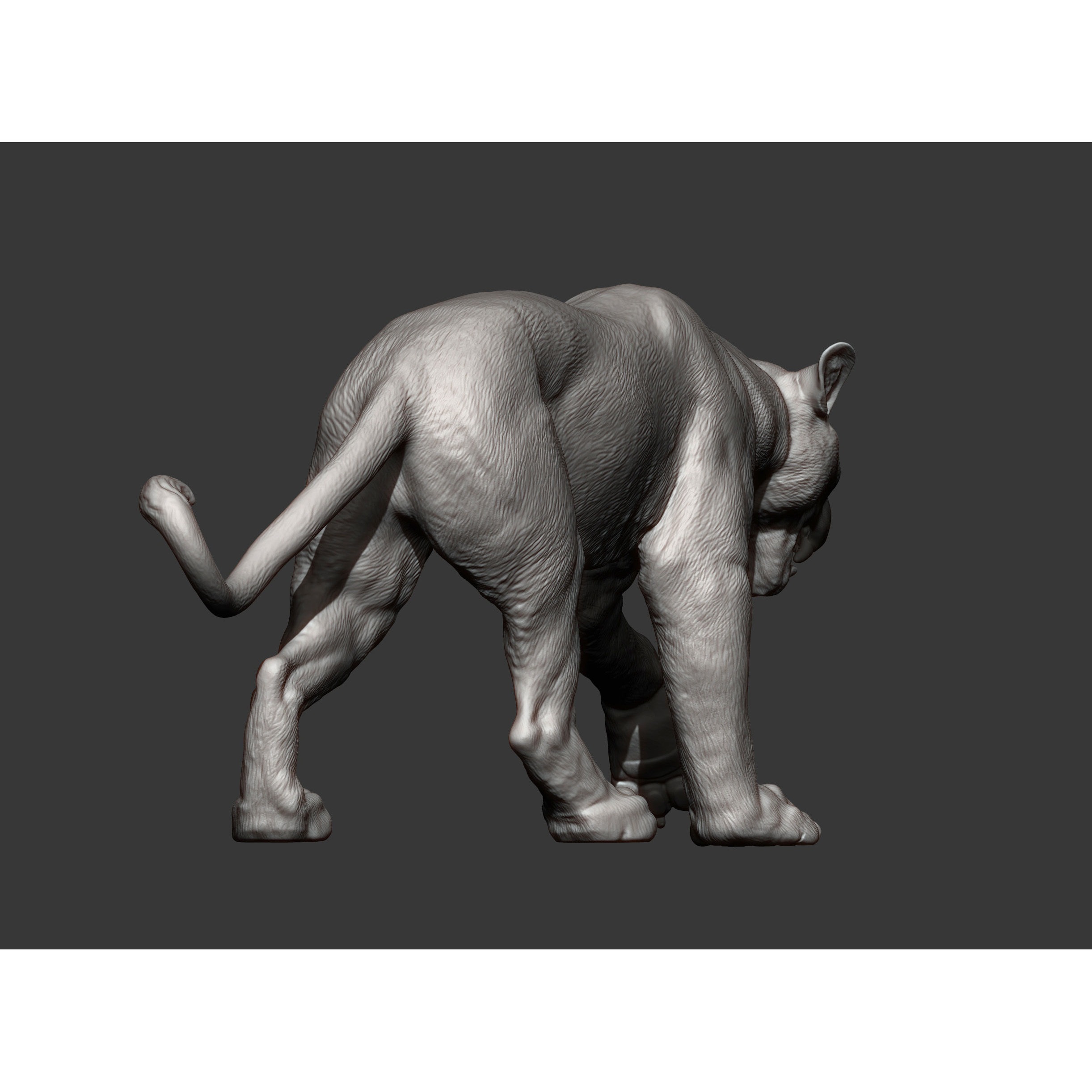 panther 3D print model 9