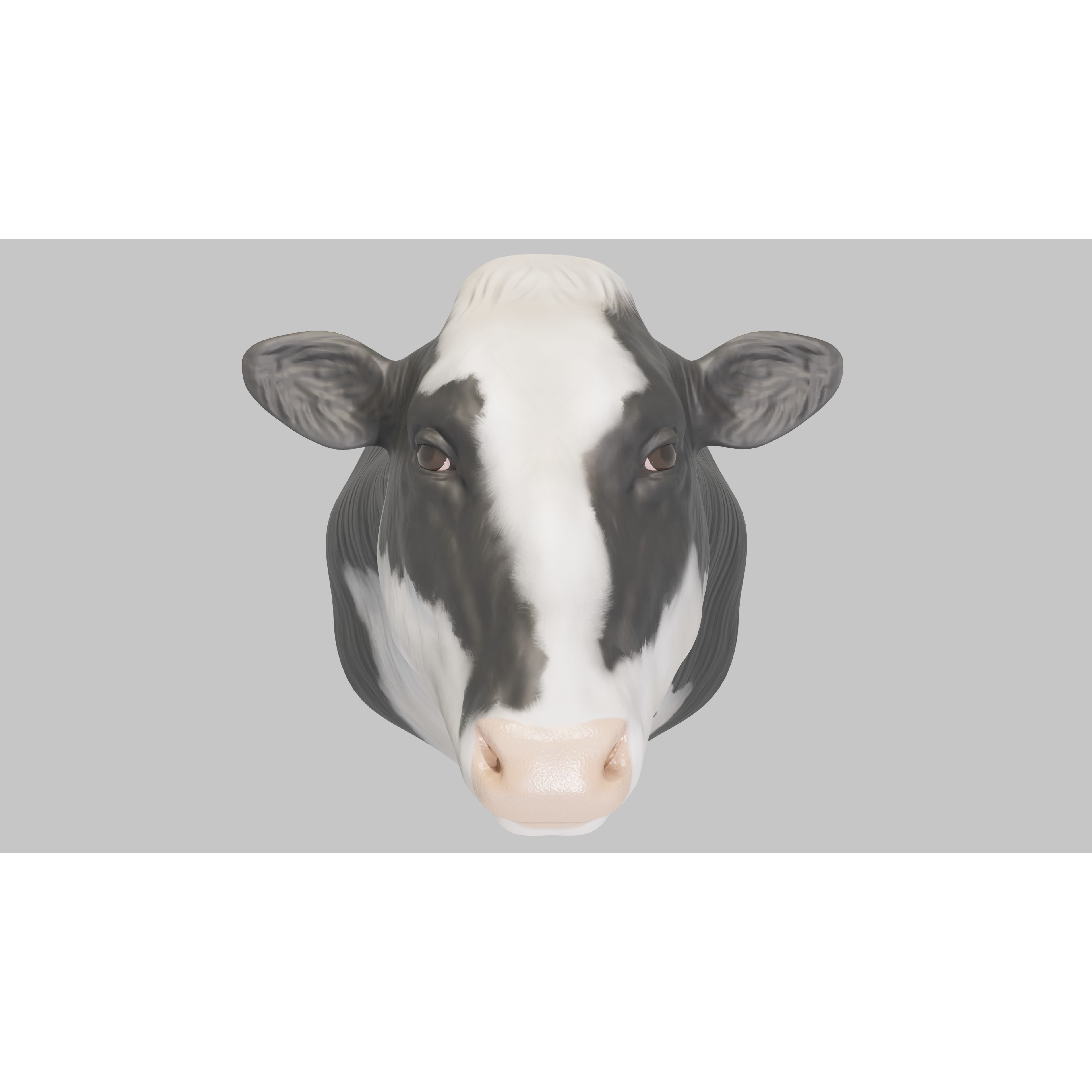 PBR Free Cow Head Free 3D model 2