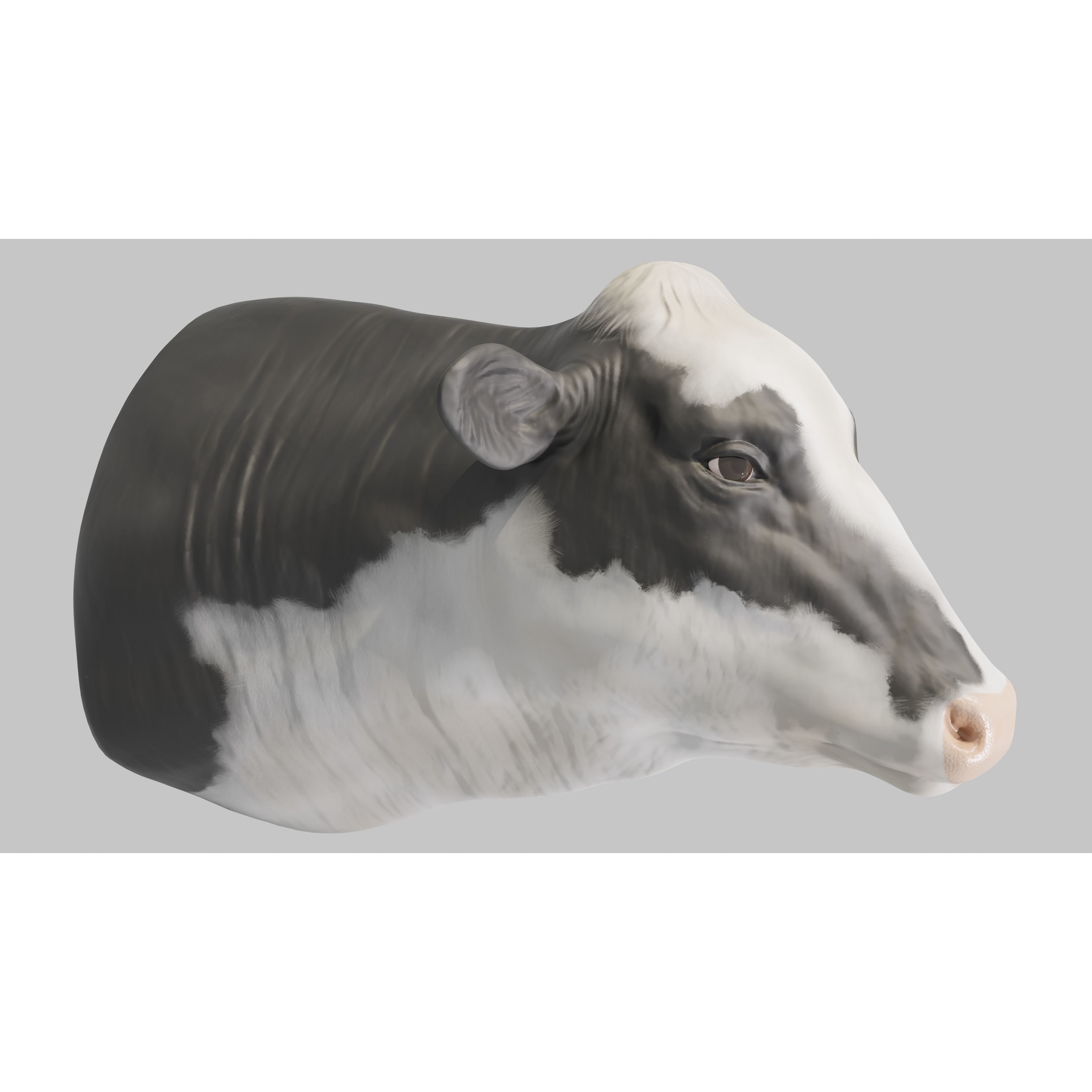 PBR Free Cow Head Free 3D model 3