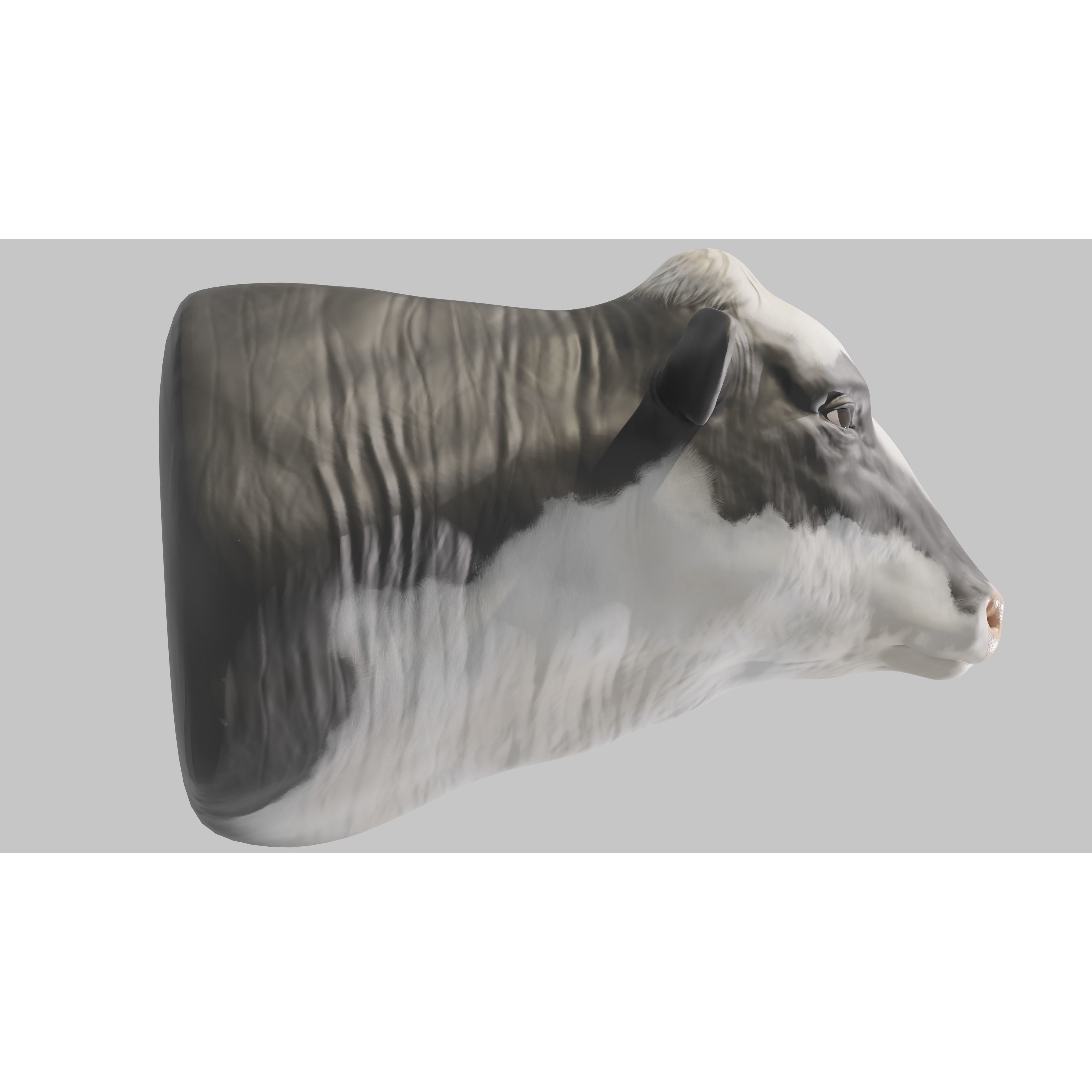 PBR Free Cow Head Free 3D model 4