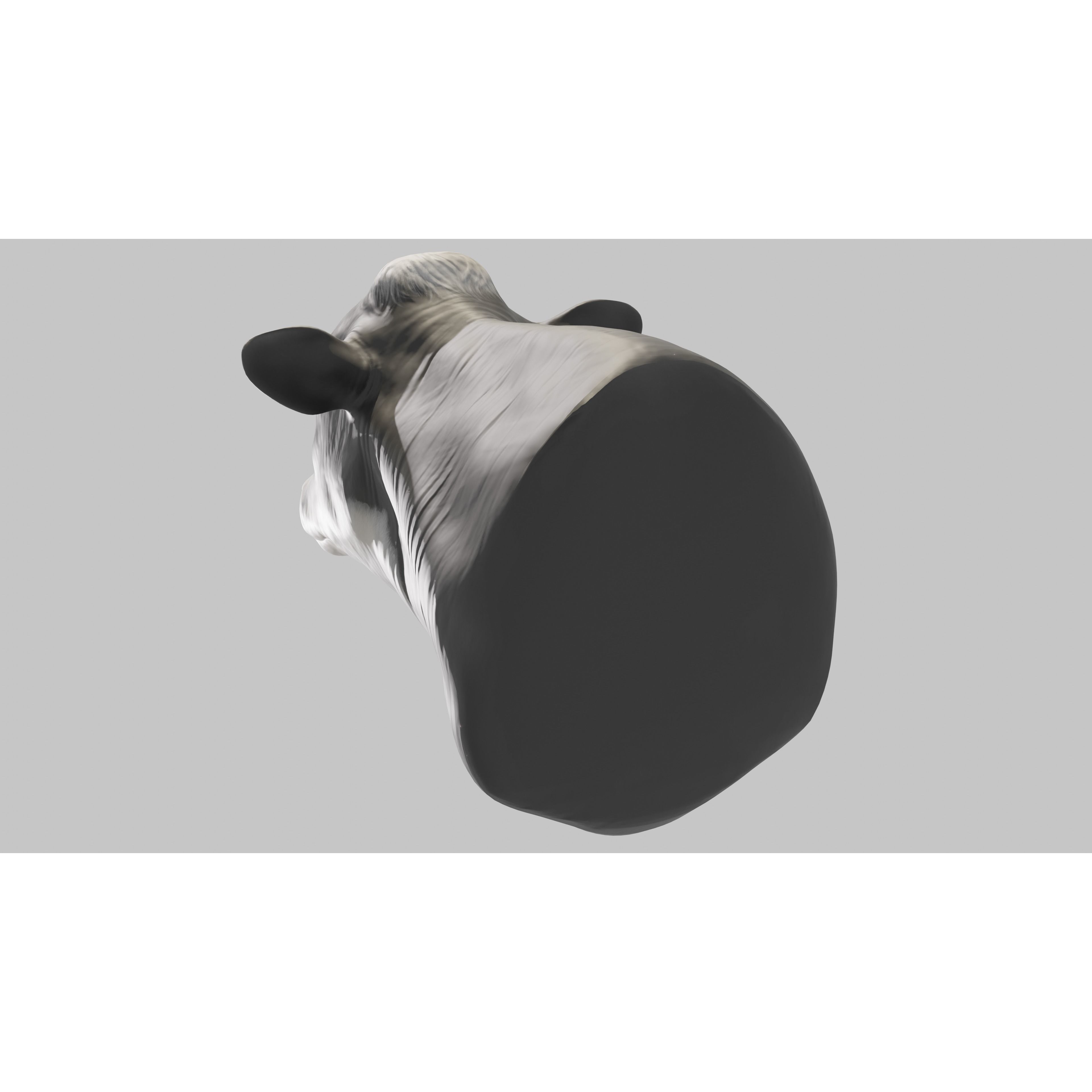 PBR Free Cow Head Free 3D model 7