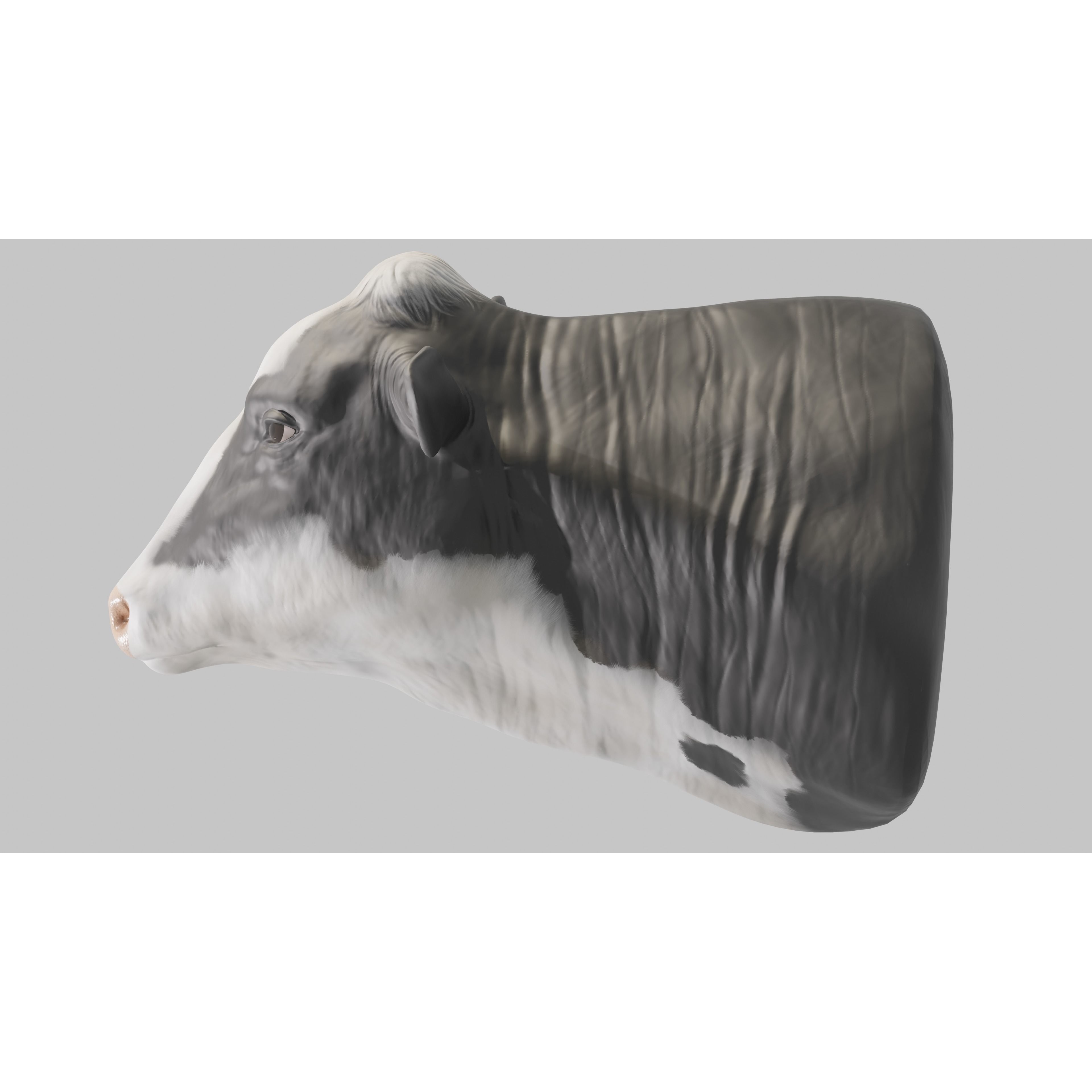 PBR Free Cow Head Free 3D model 8