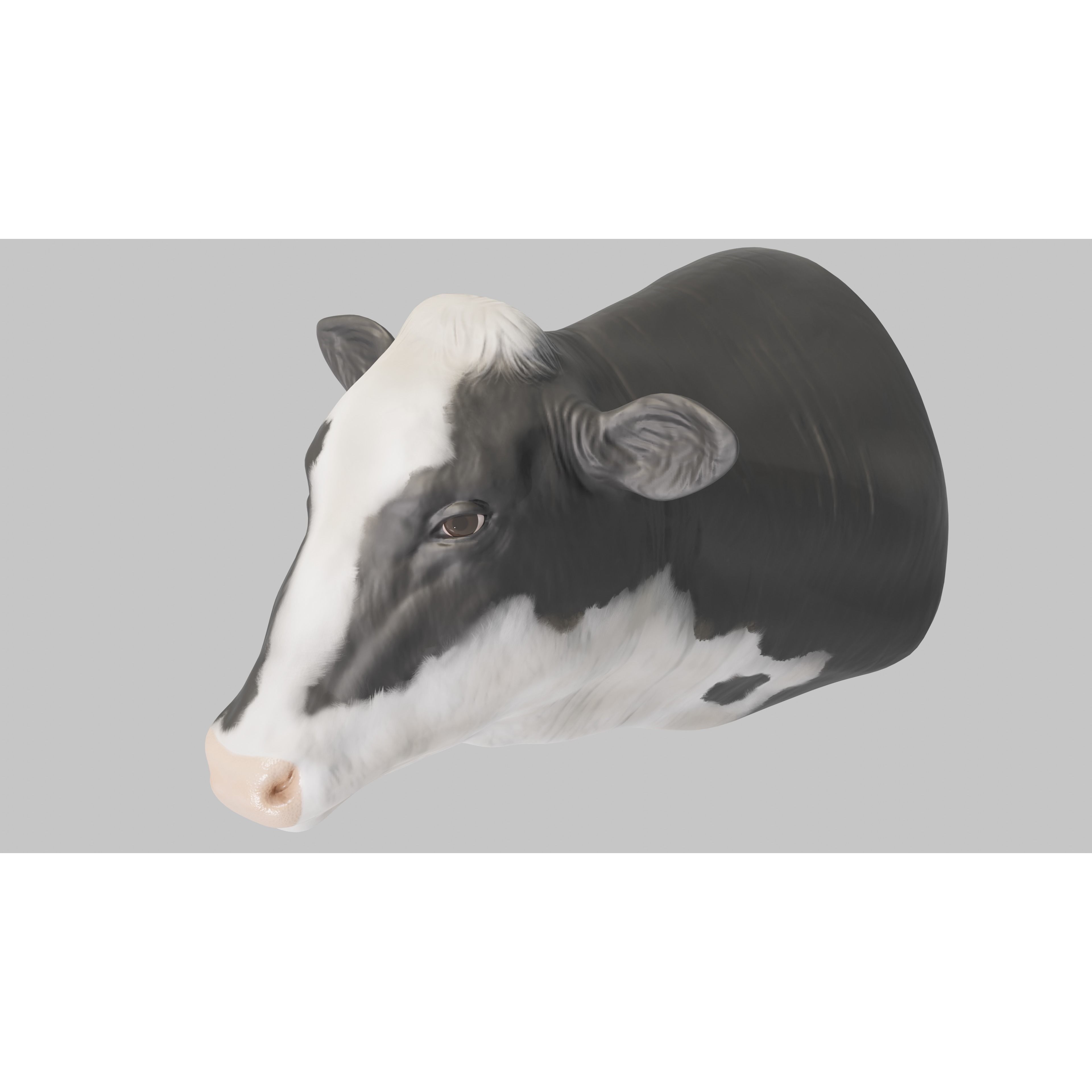 PBR Free Cow Head Free 3D model 9