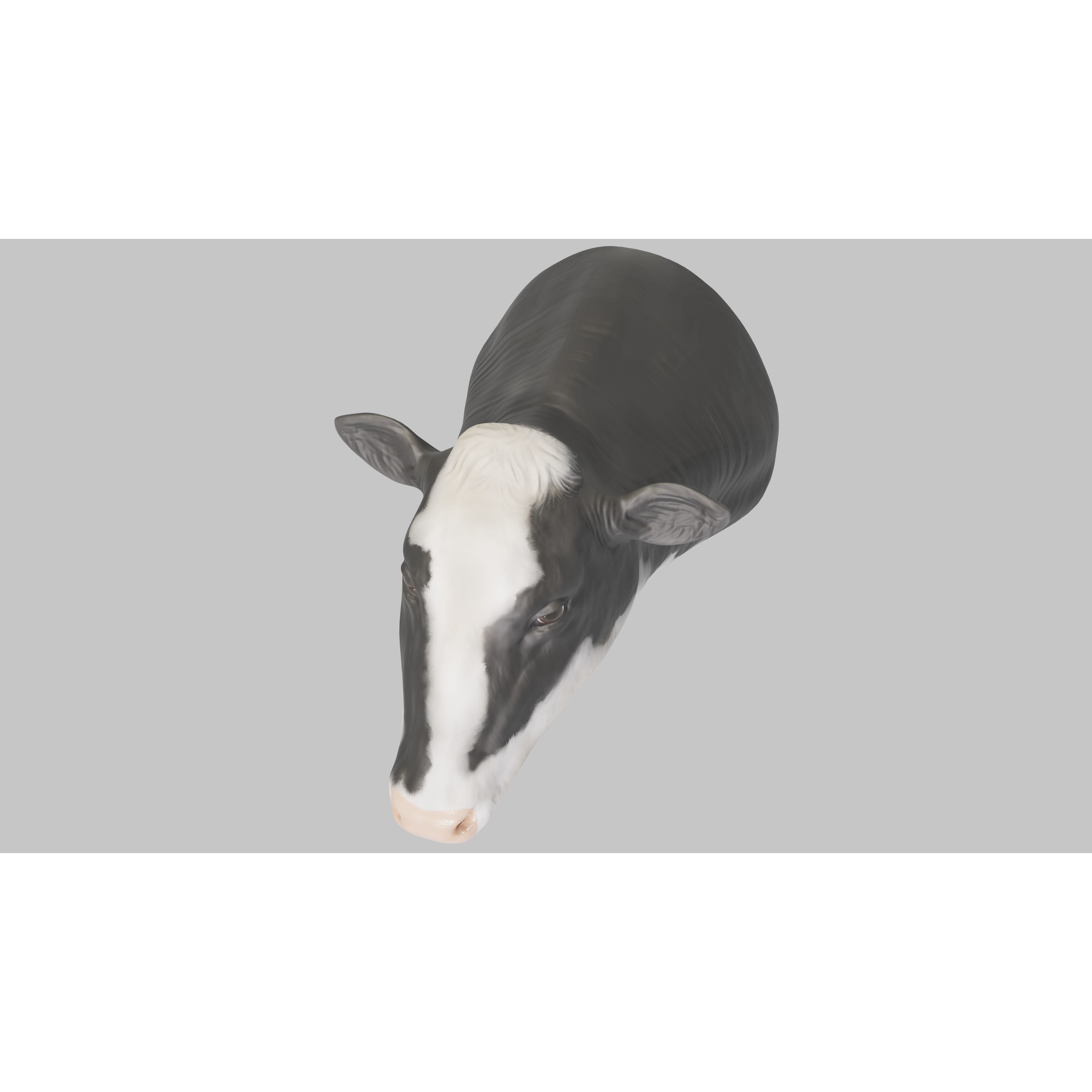 PBR Free Cow Head Free 3D model 10