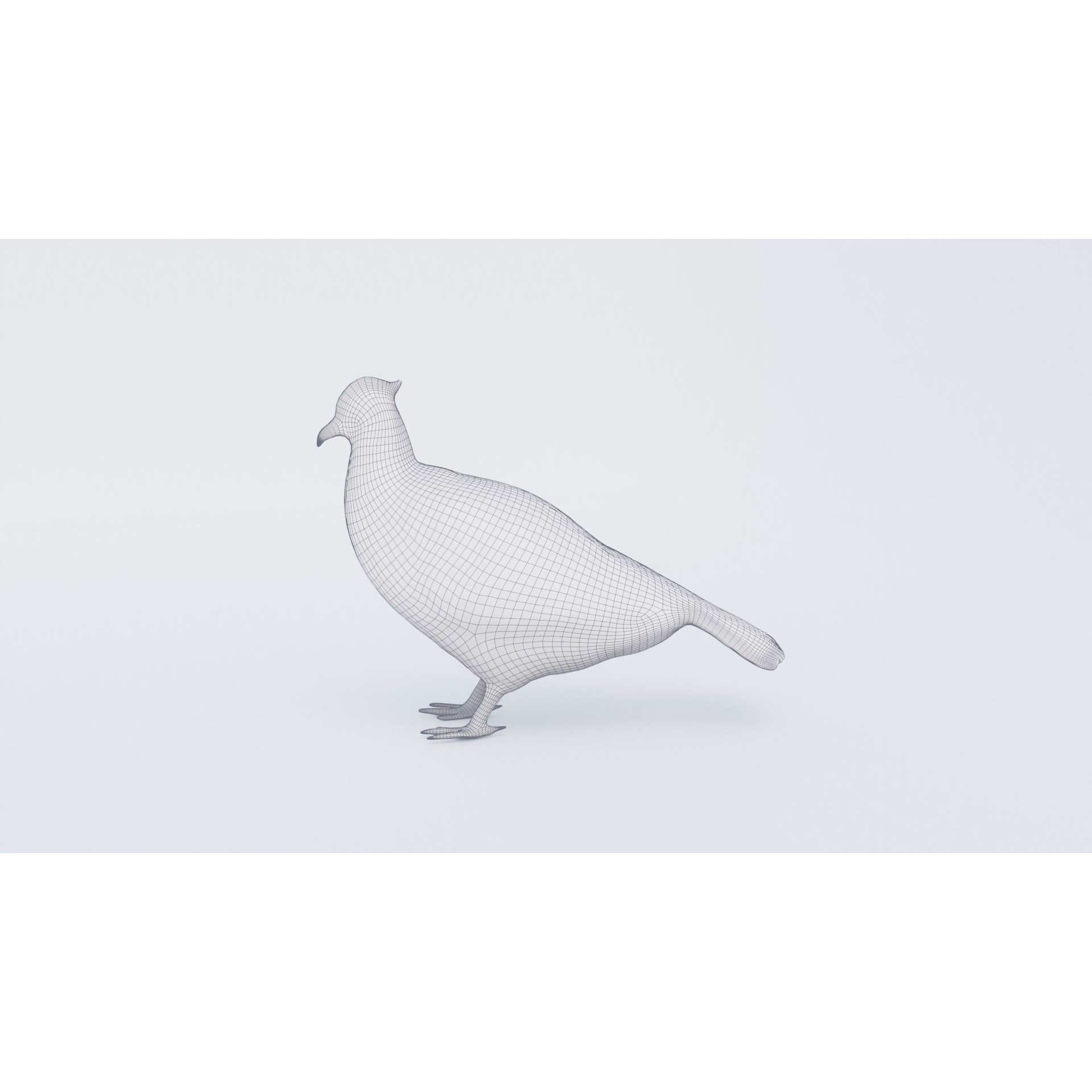 Pheasant Free 3D model 7