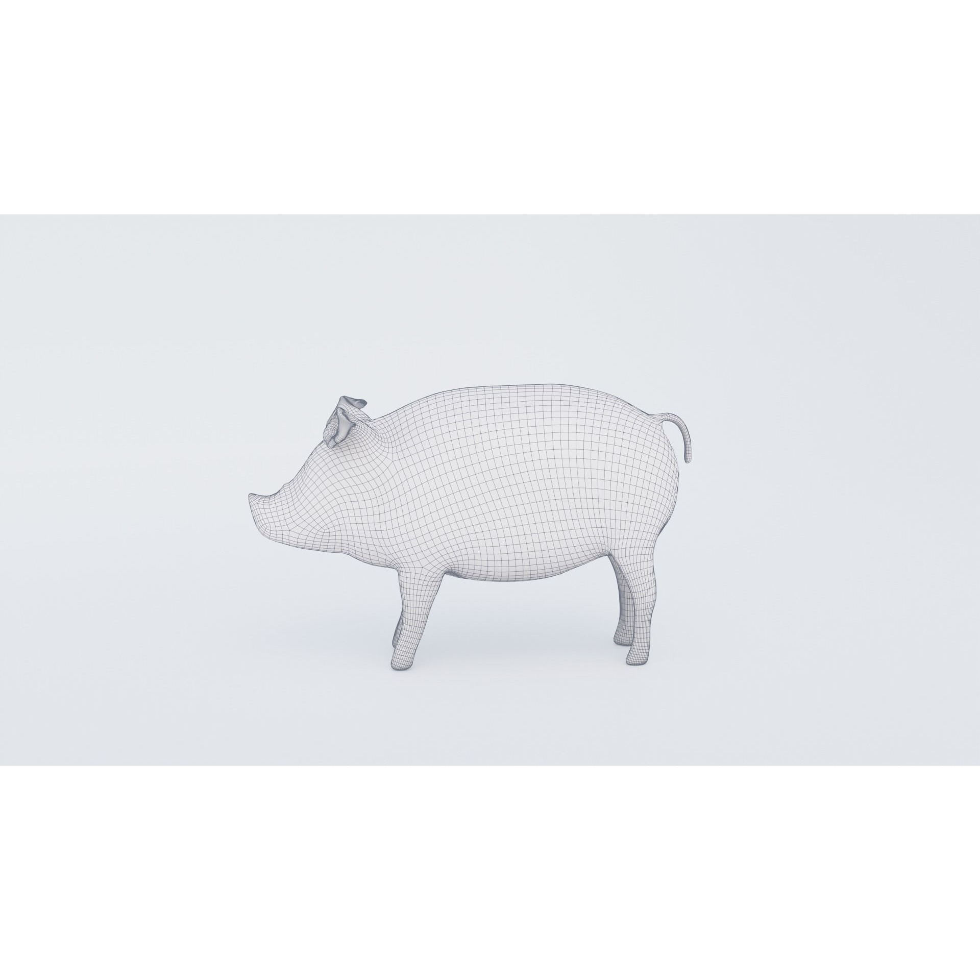 Pig Animal Free 3D model 7
