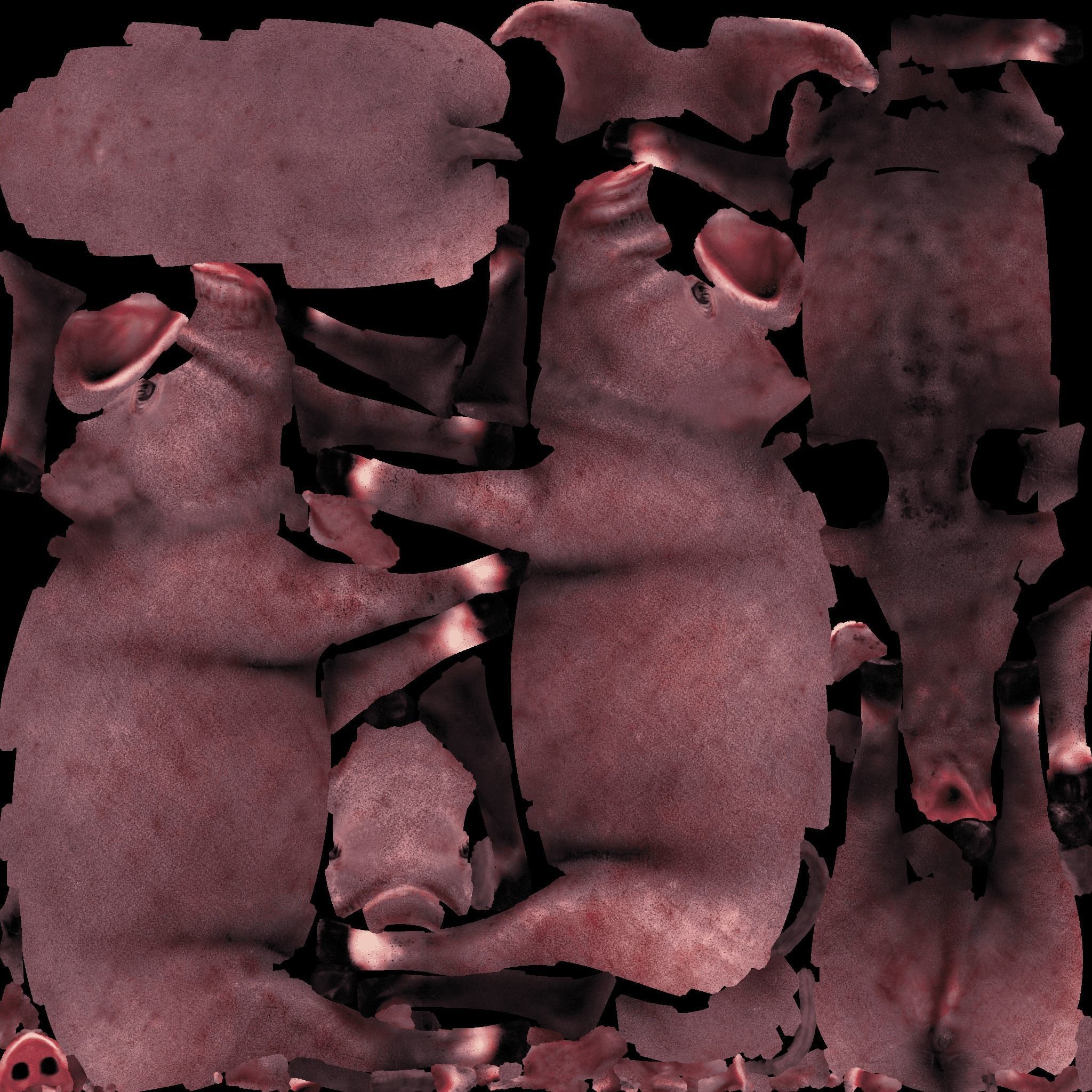 Pig Animal Free 3D model 8