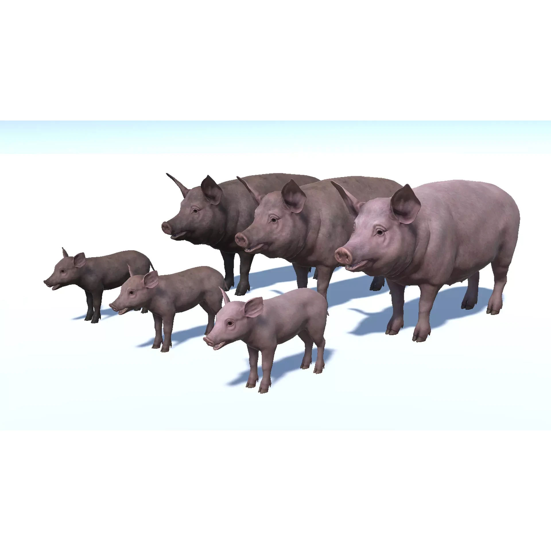 PIG FAMILY Low-poly 3D model 2