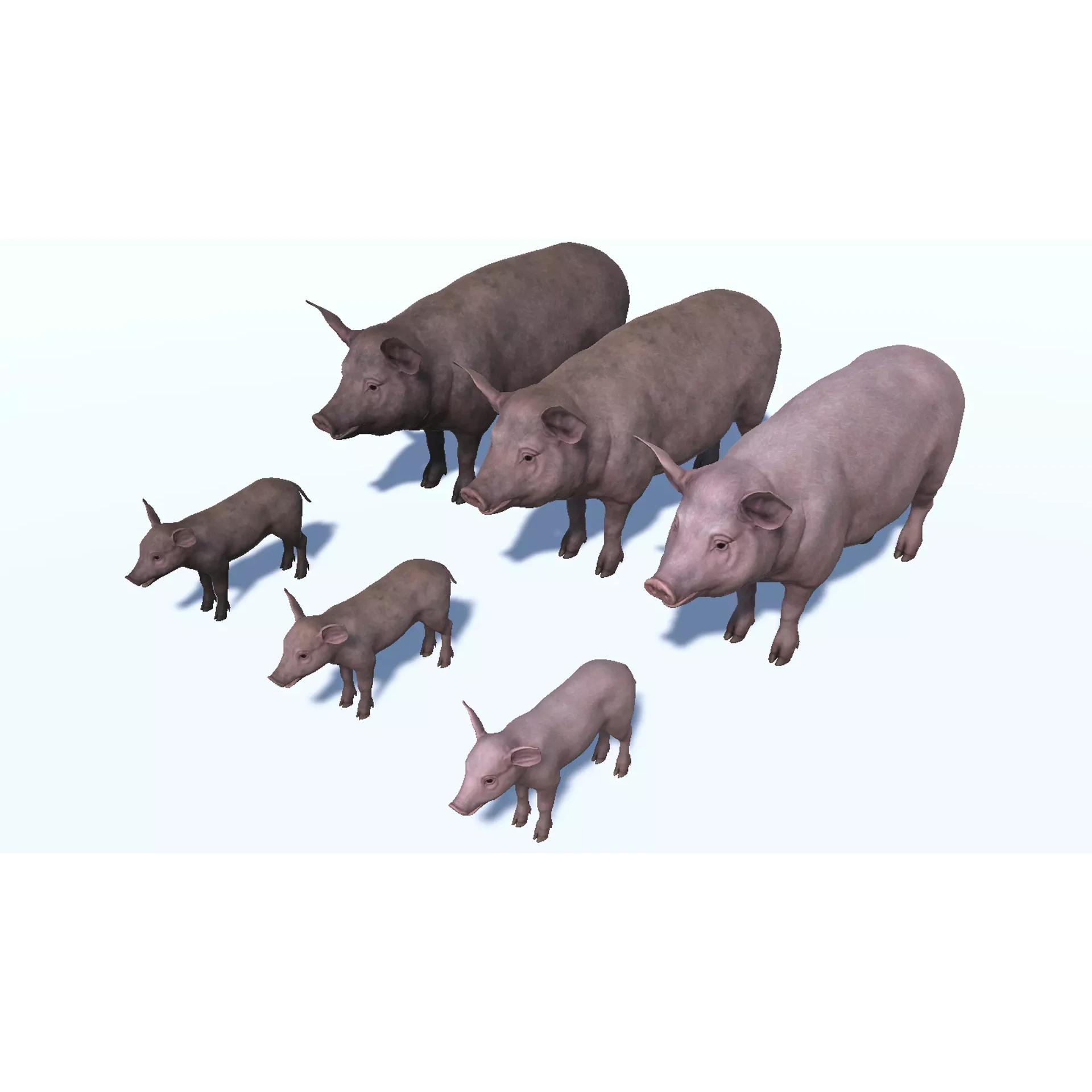PIG FAMILY Low-poly 3D model 3