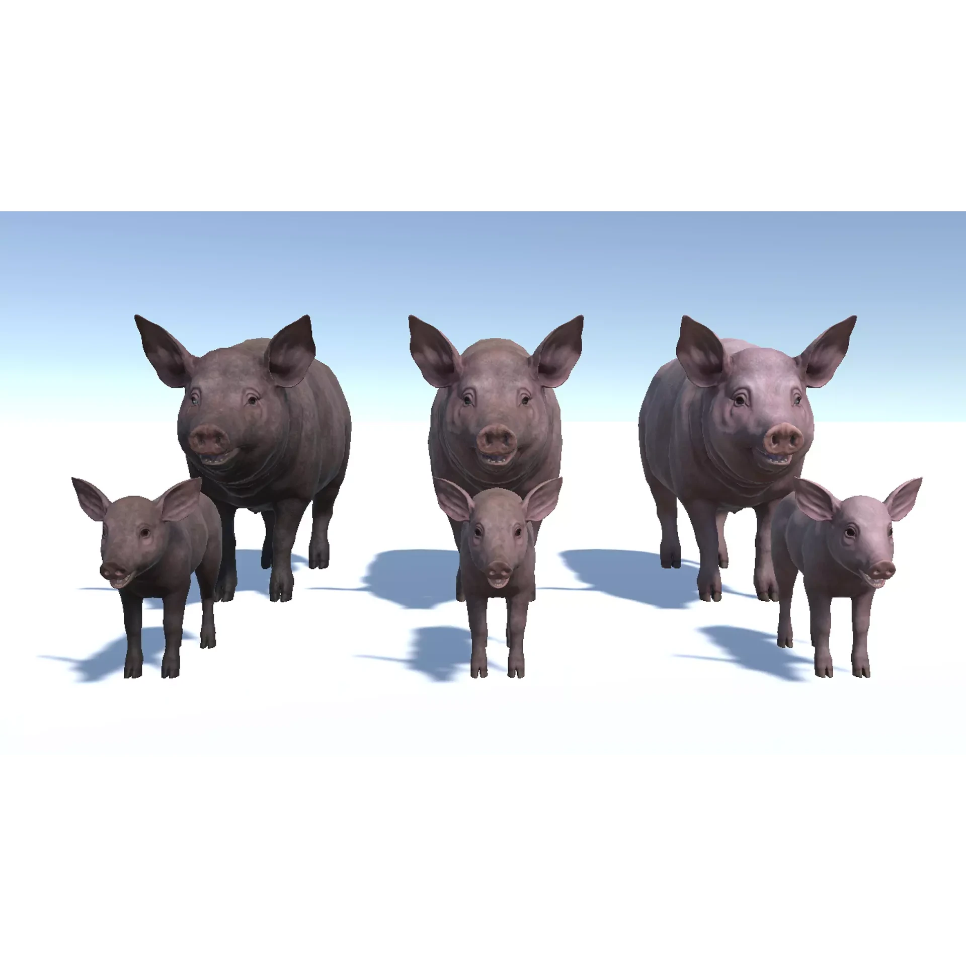 PIG FAMILY Low-poly 3D model 4