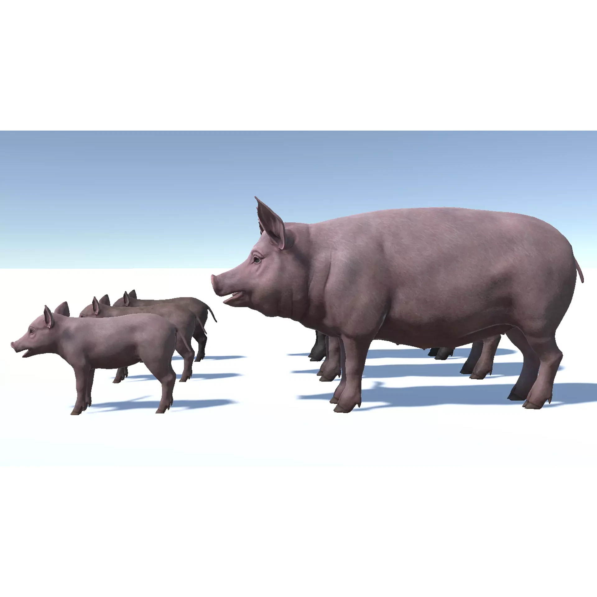 PIG FAMILY Low-poly 3D model 6