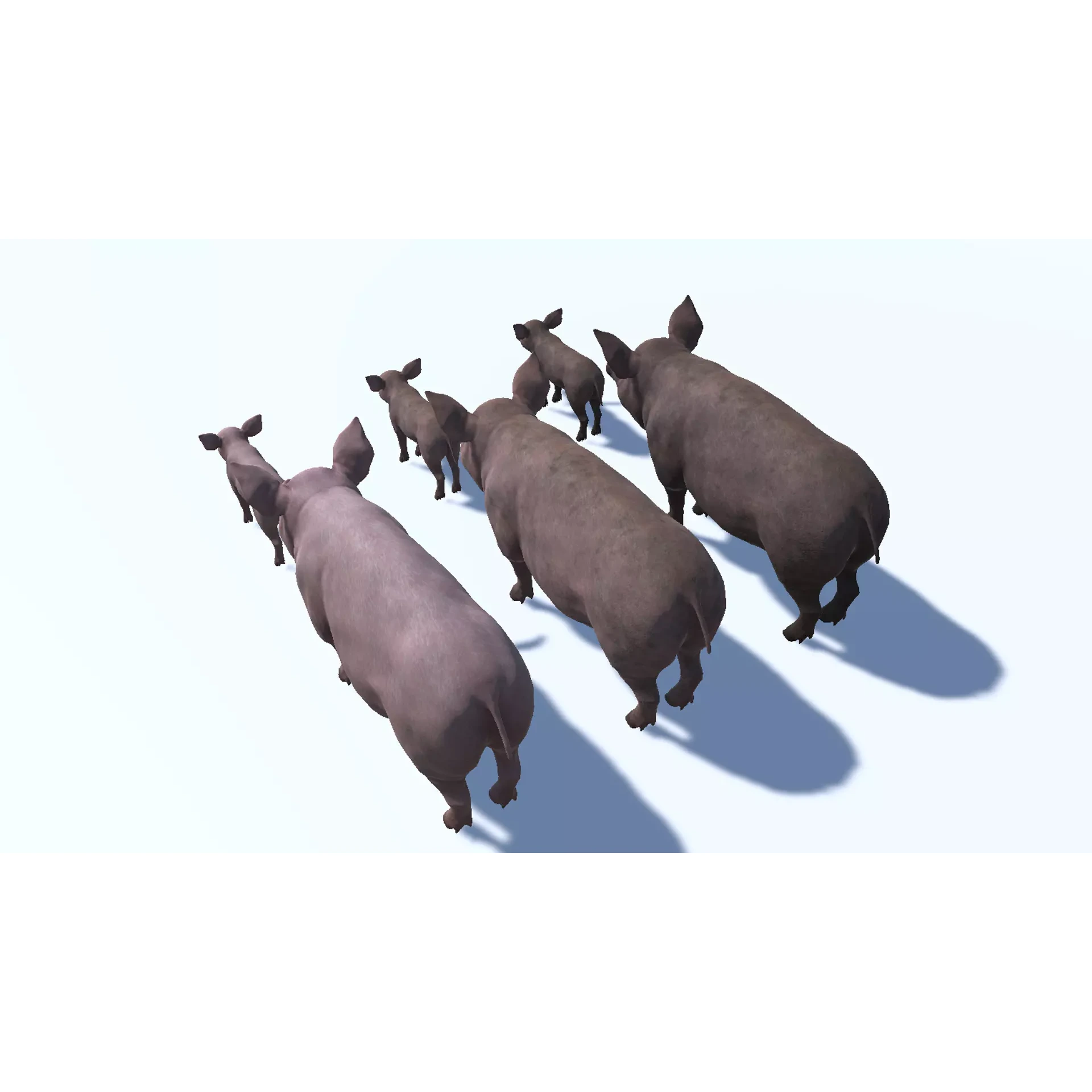 PIG FAMILY Low-poly 3D model 7