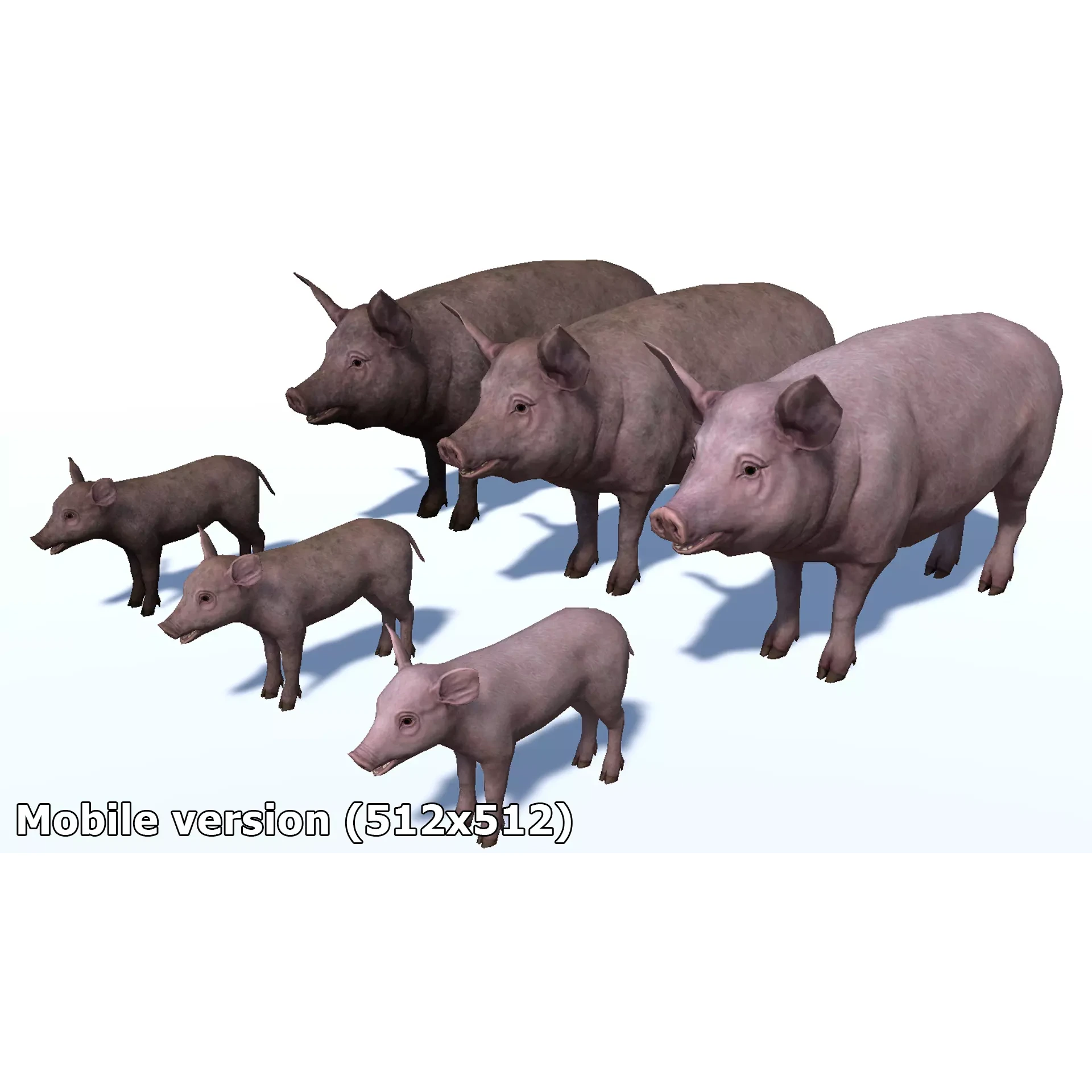 PIG FAMILY Low-poly 3D model 8