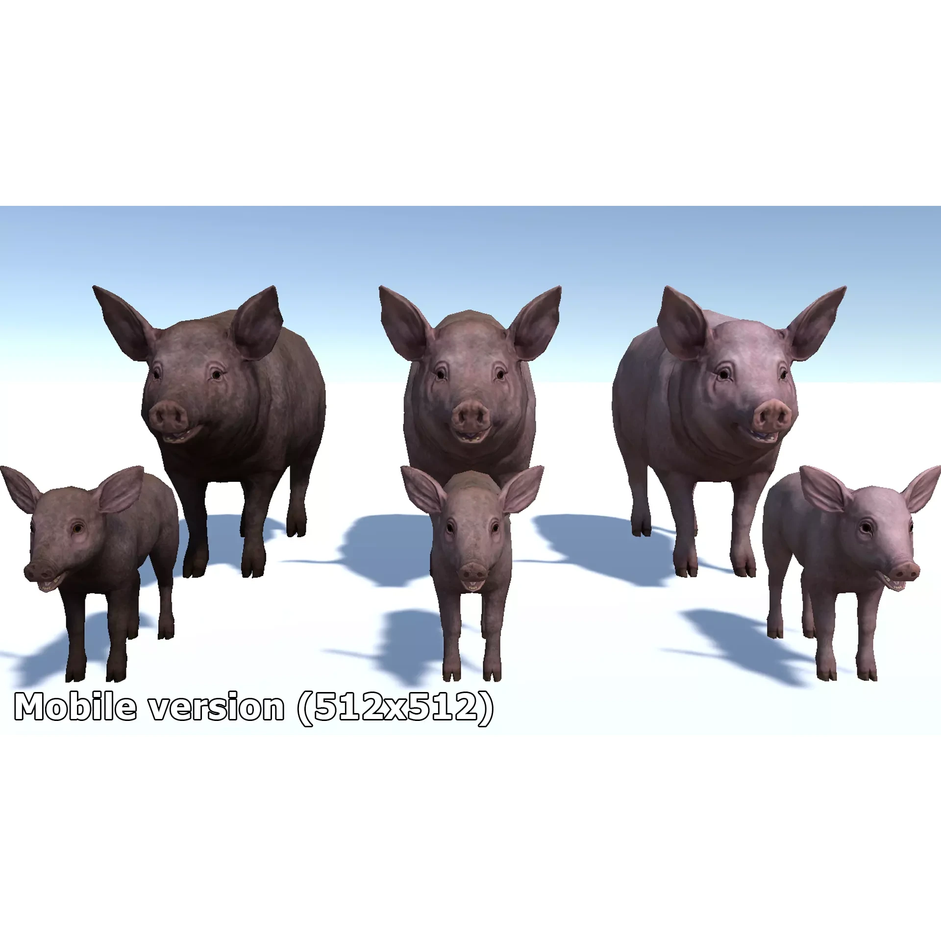 PIG FAMILY Low-poly 3D model 9
