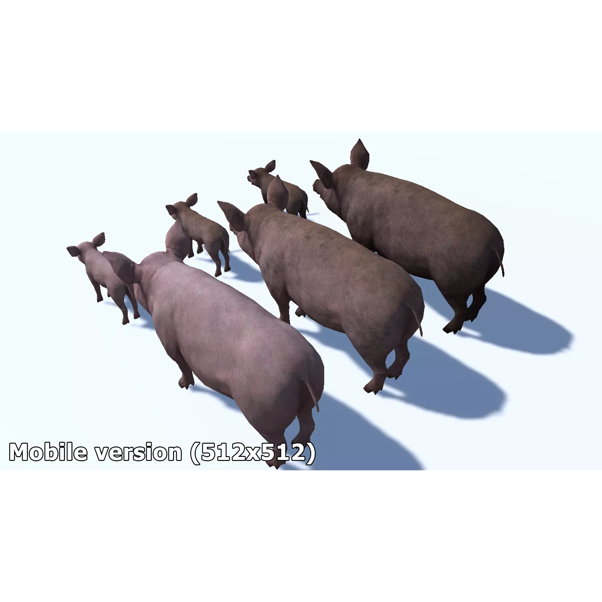 PIG FAMILY Low-poly 3D model 10